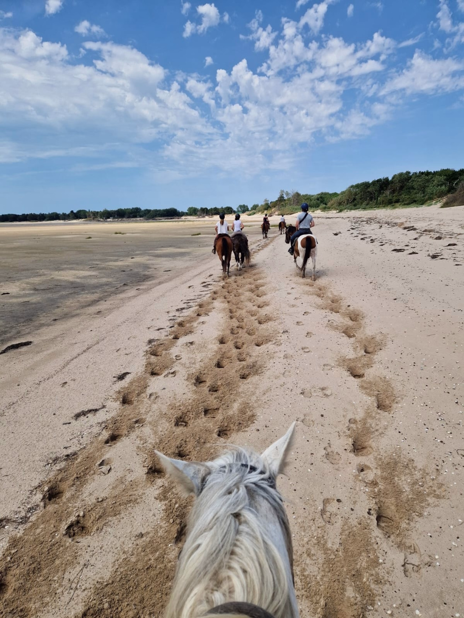 Reiten zu den Stränden von La Vanlée