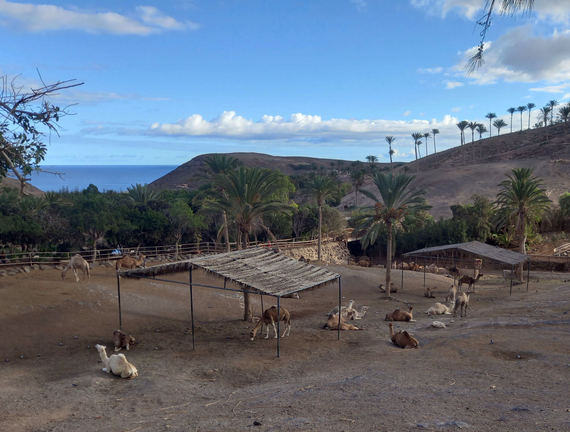 Paysage dans les Canaries en Espagne