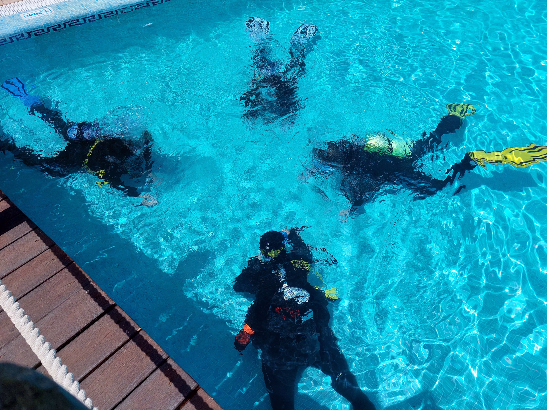 Devenez plongeur certifié et explorez le Musée Atlantique