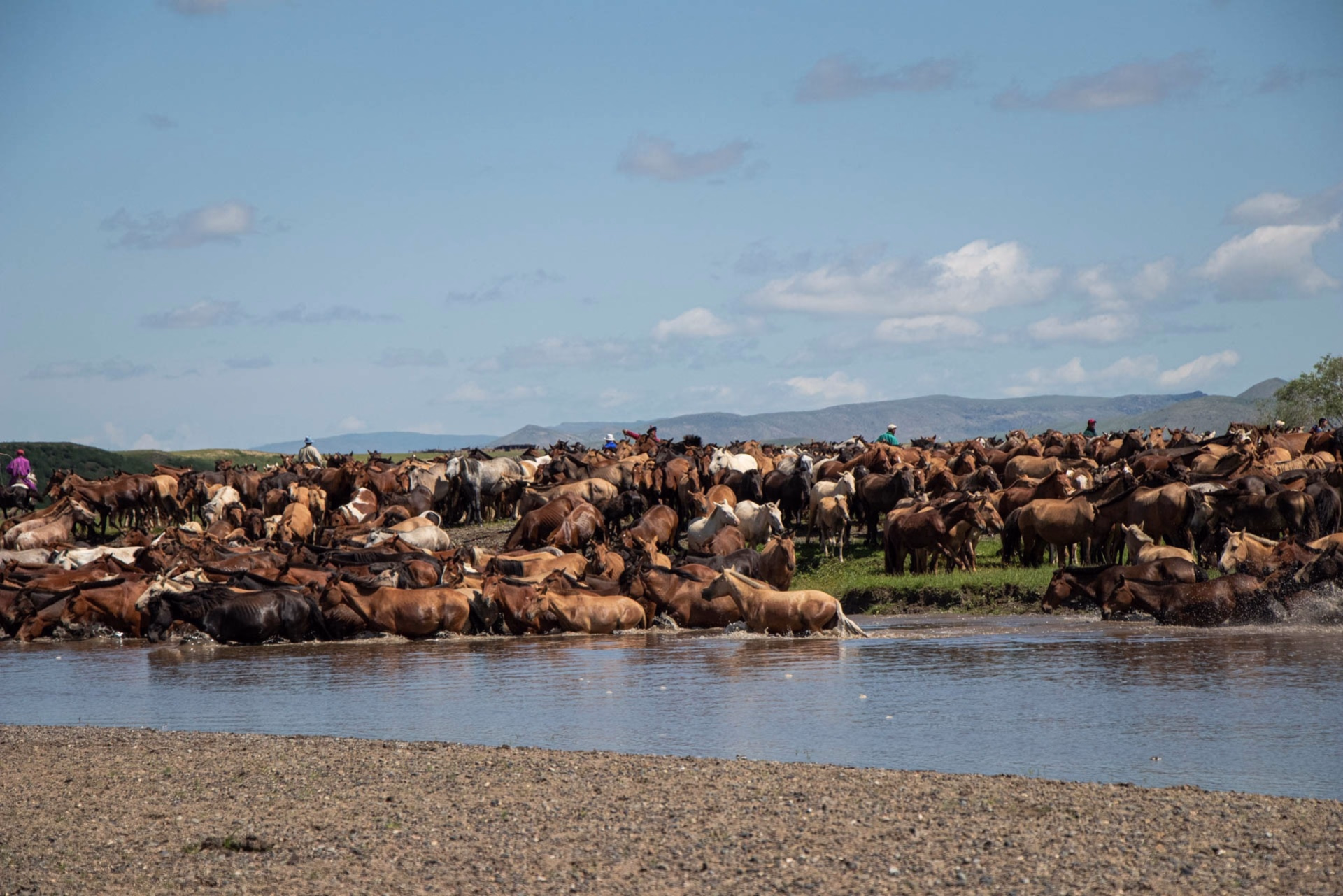 Mongolie, entre steppes et traditions
