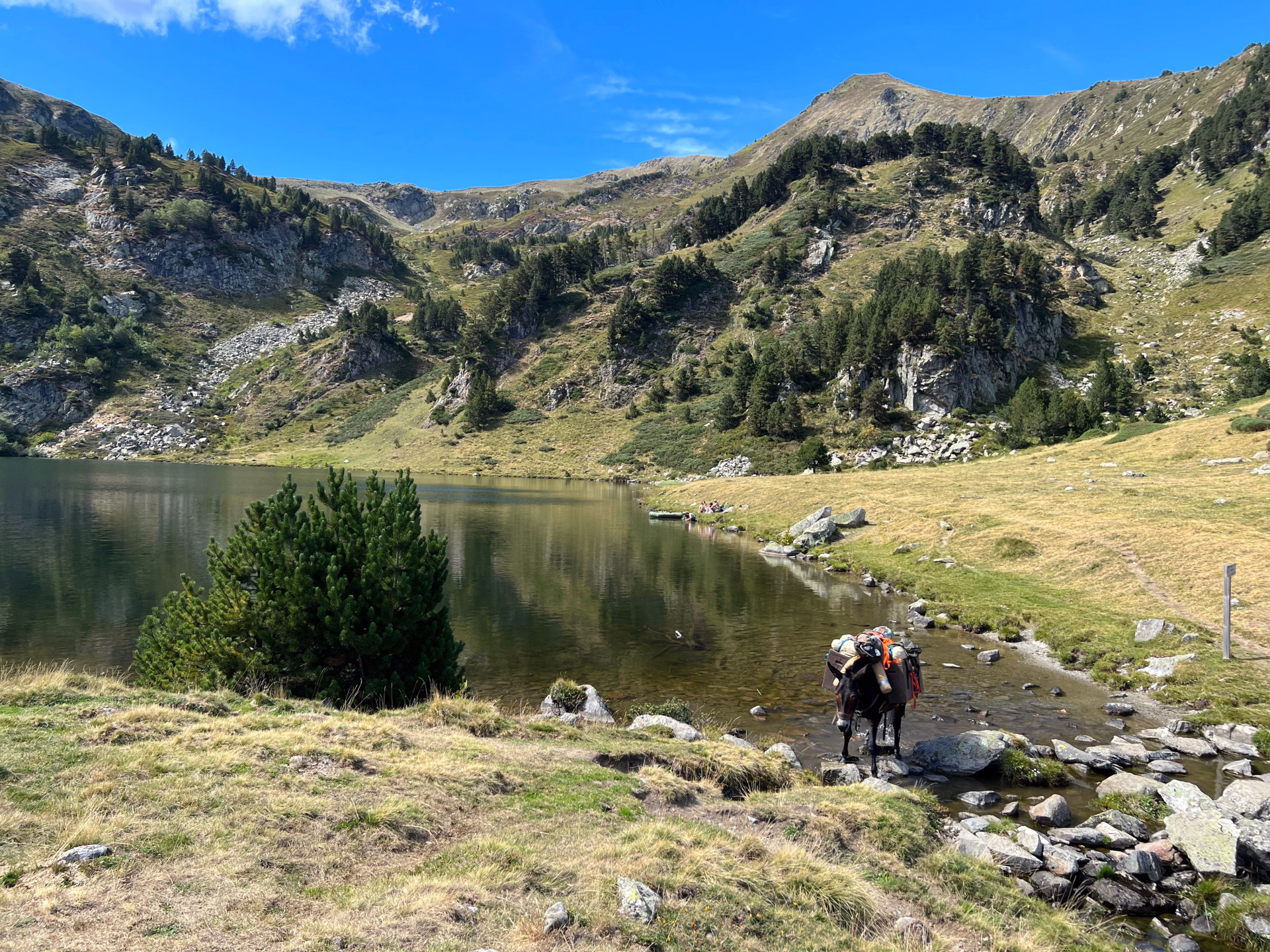 ⛺️ Bivouac/tente