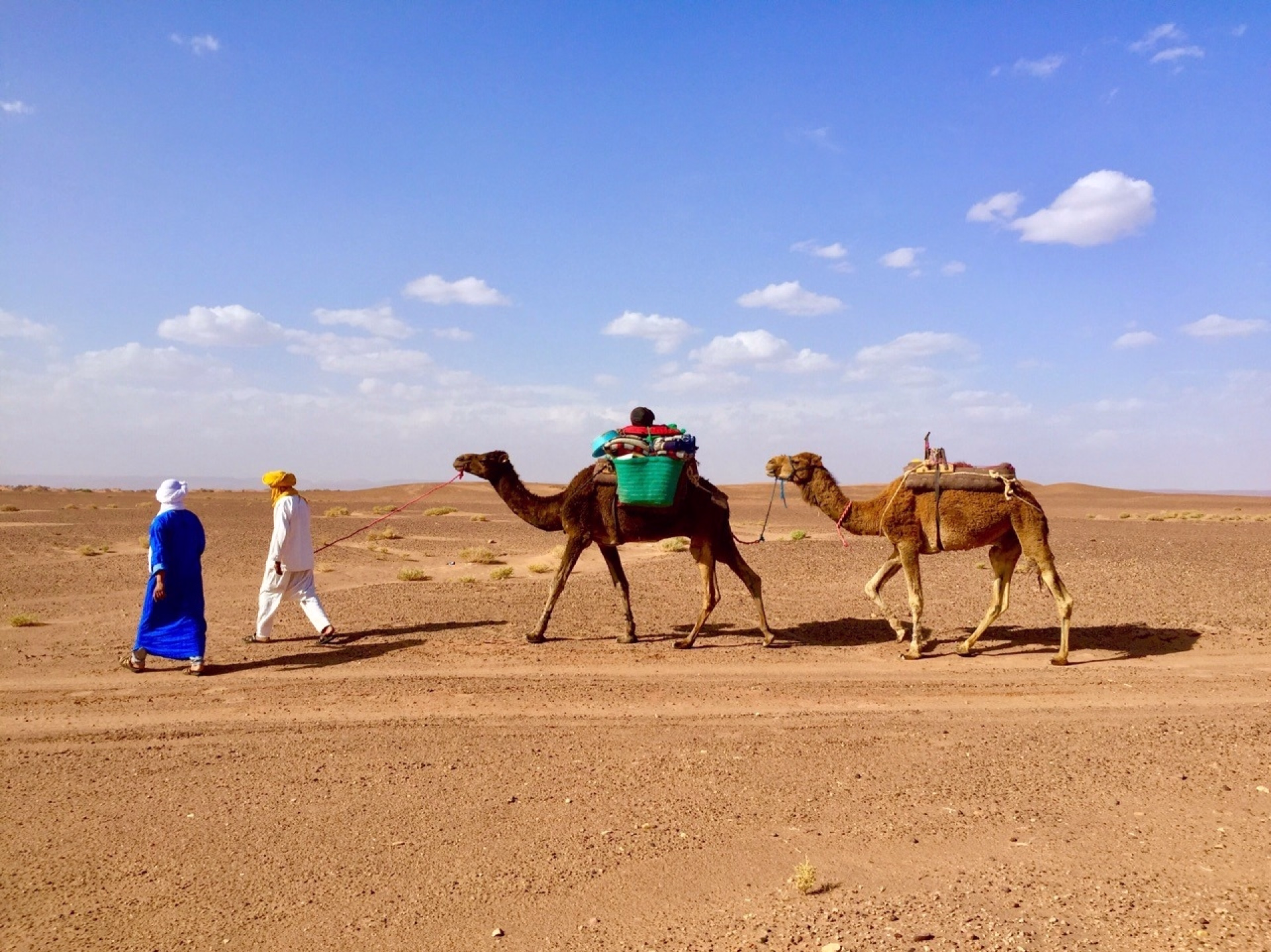 Trek de 3 jours dans le désert : sur la route des anciennes caravanes