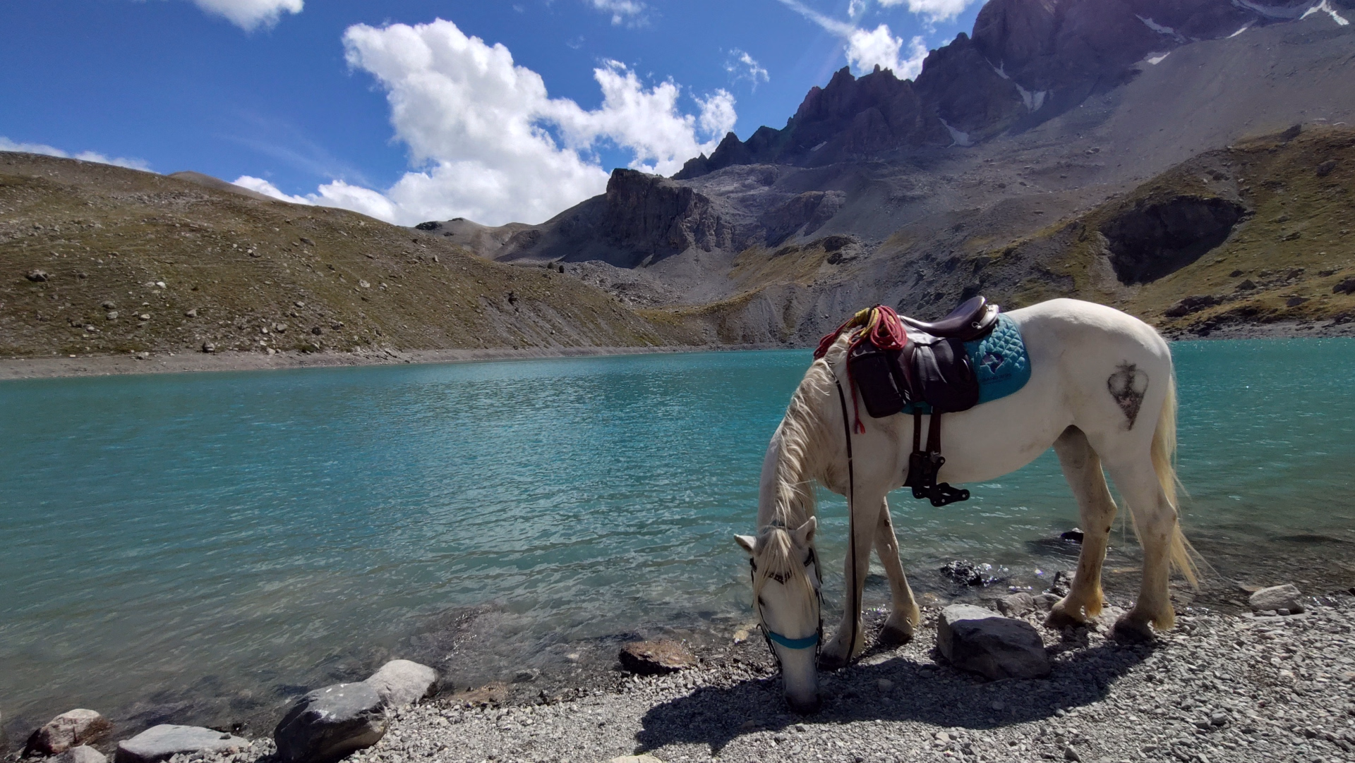 Trek des lacs et panoramas du Viso en Queyras