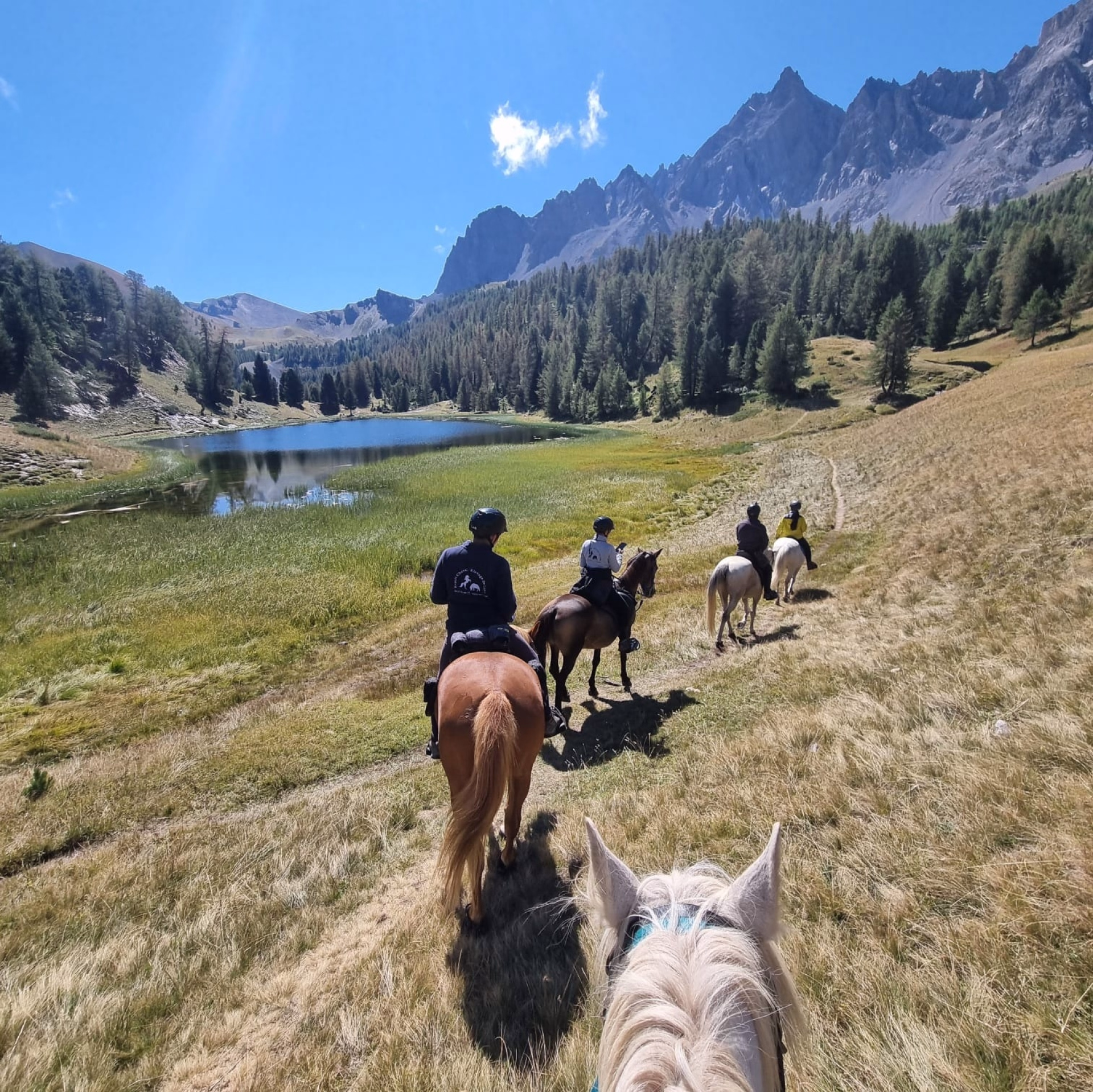 Trek des lacs et panoramas du Viso en Queyras