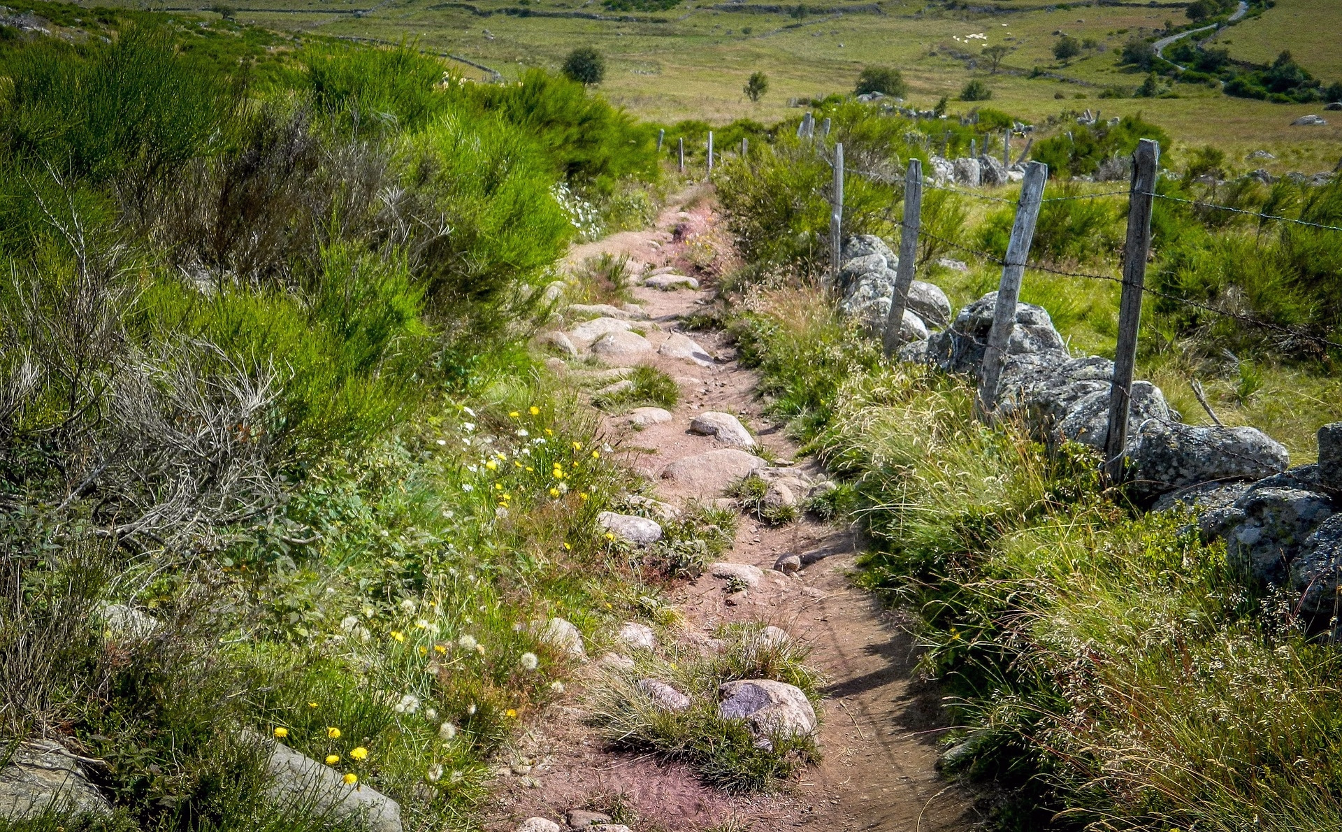 Entre Conques et Cahors sur les chemins de Compostelle