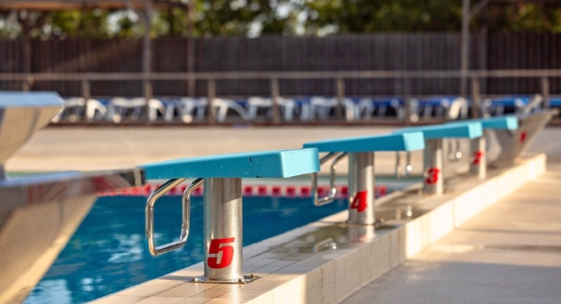 Stage natation en bassin olympique à Saint-Tropez avec Anna Santamans