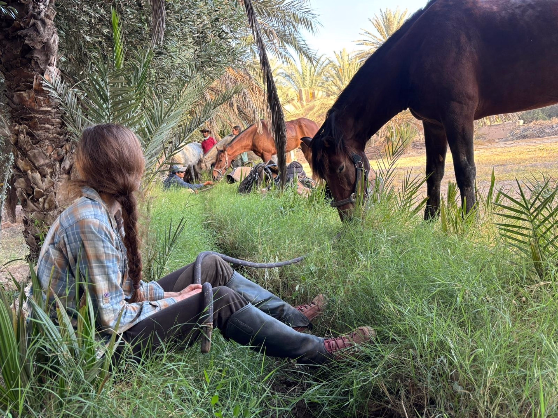 Le Grand Sud Marocain à Cheval : sur les Traces des Nomades Berbères