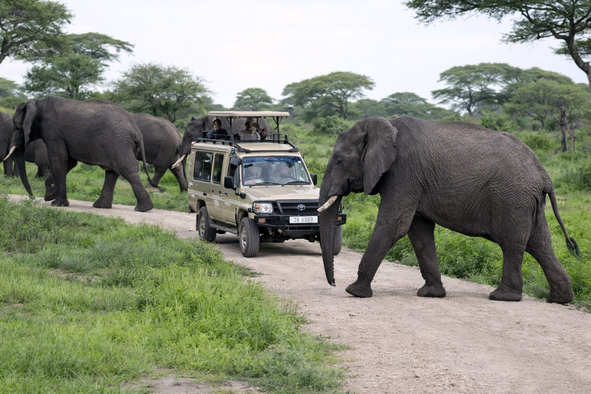 Aventure de 5 jours au Kilimandjaro voie Marangu et safari de 3 jours