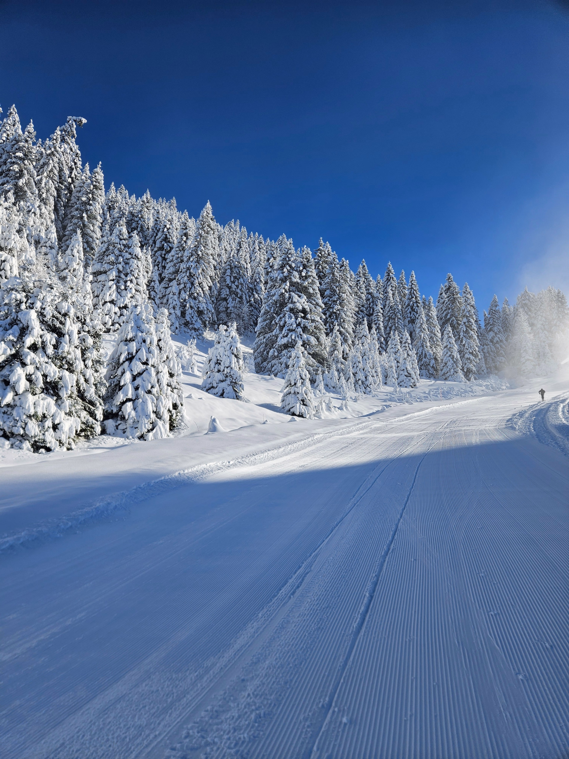 Séjour ski & montagne aux Portes du Soleil