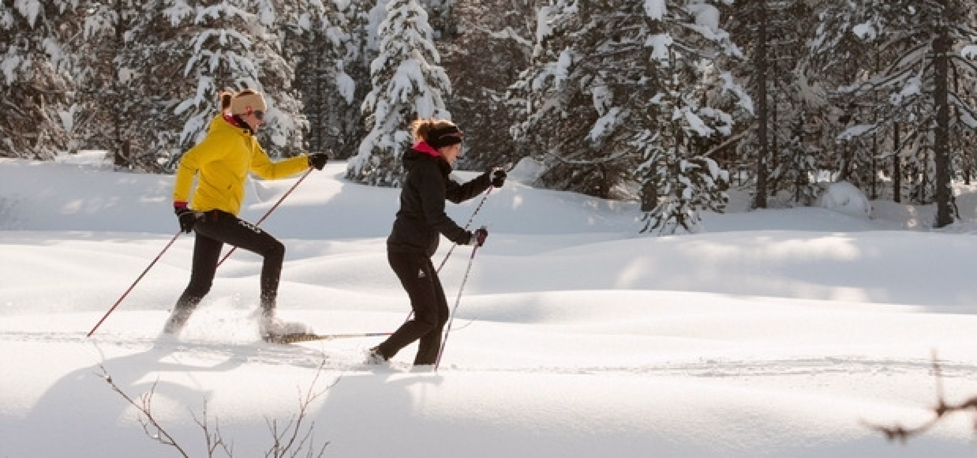 Initiation au ski de randonnée nordique dans la vallée de la Clarée