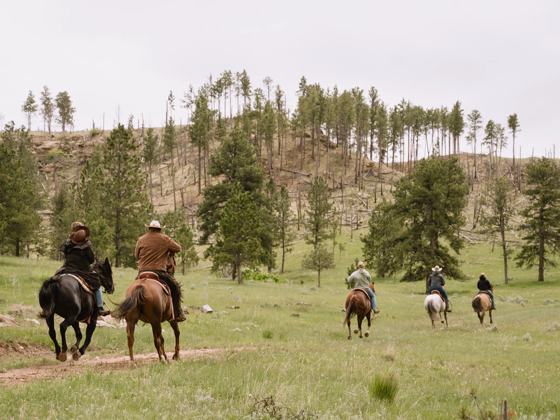 Immersion dans la vie des cowboys du Wyoming