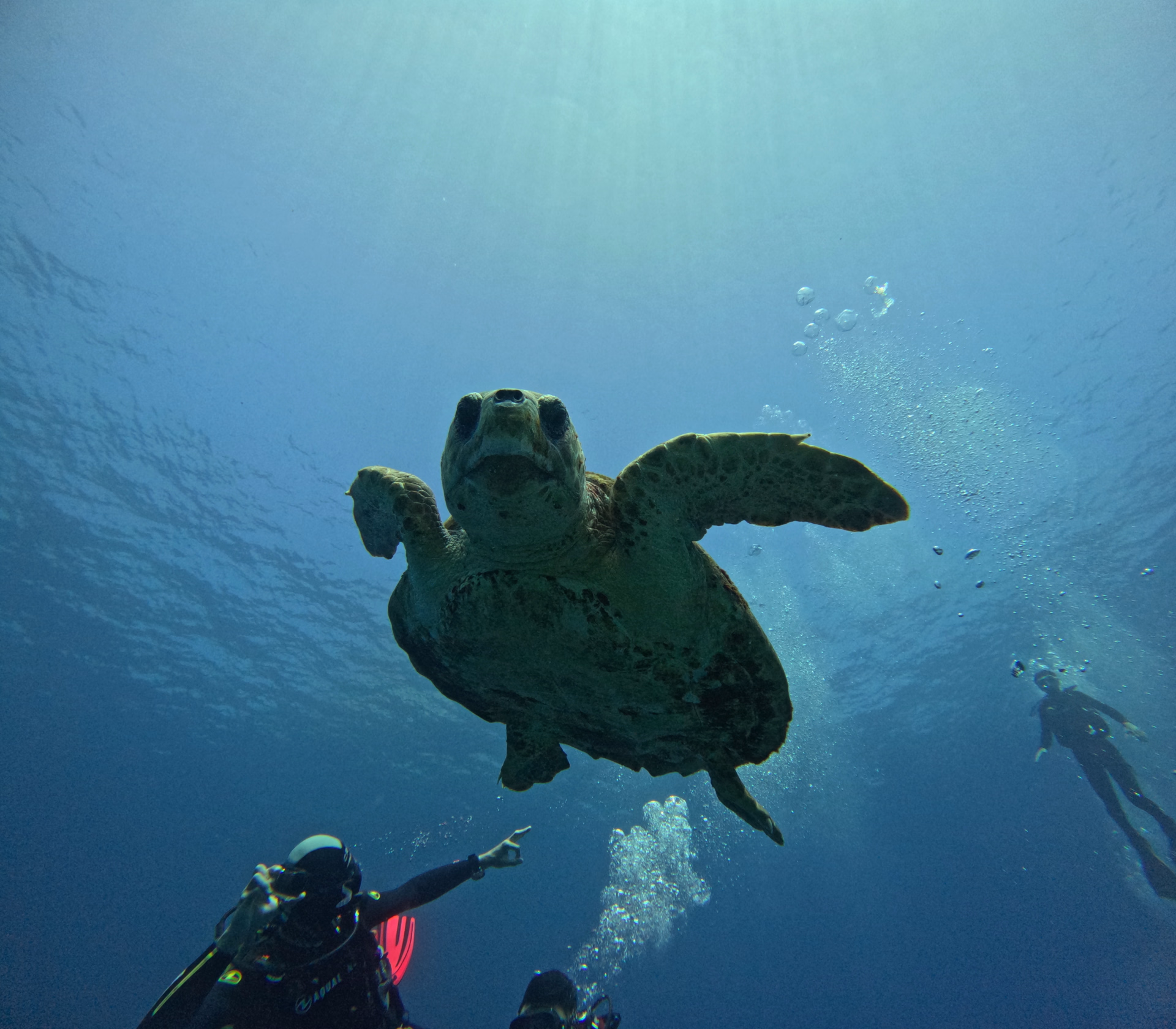 Première aventure sous-marine en famille à Tenerife