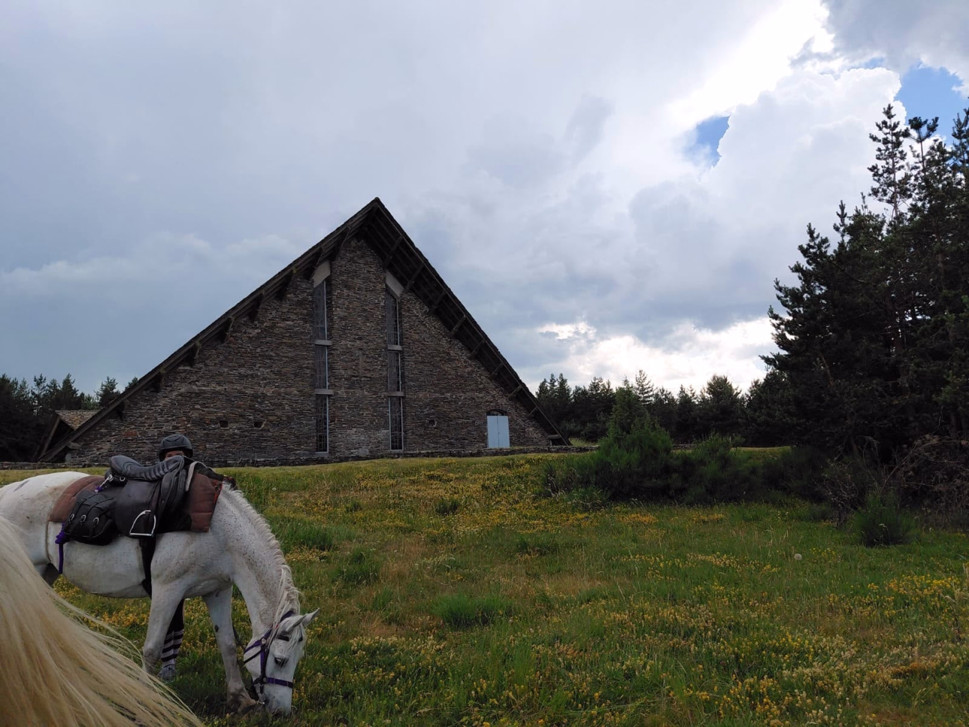 Randonnée à cheval en Lozère, de la Margeride au Mont Lozère