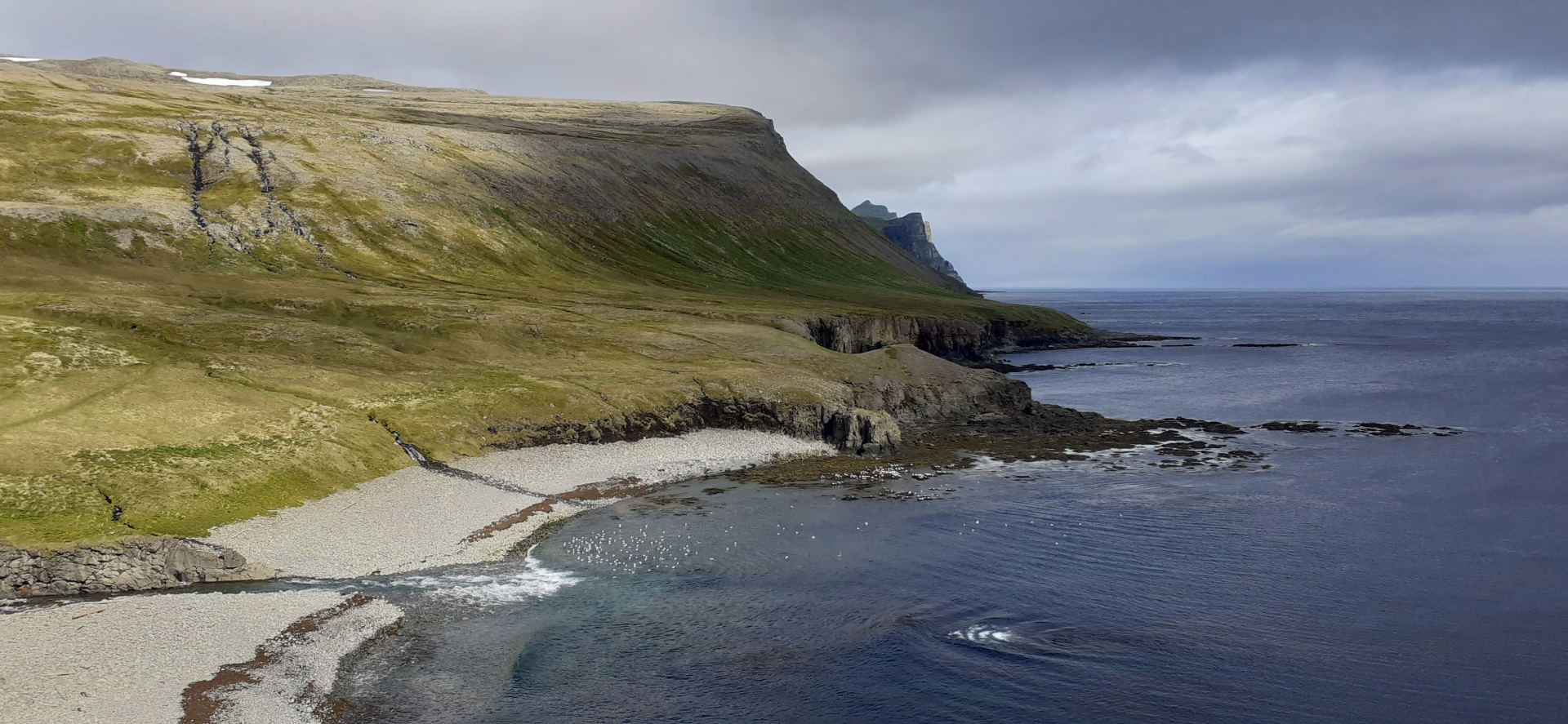 Randonnée immersive en terre sauvage à Hornstrandir