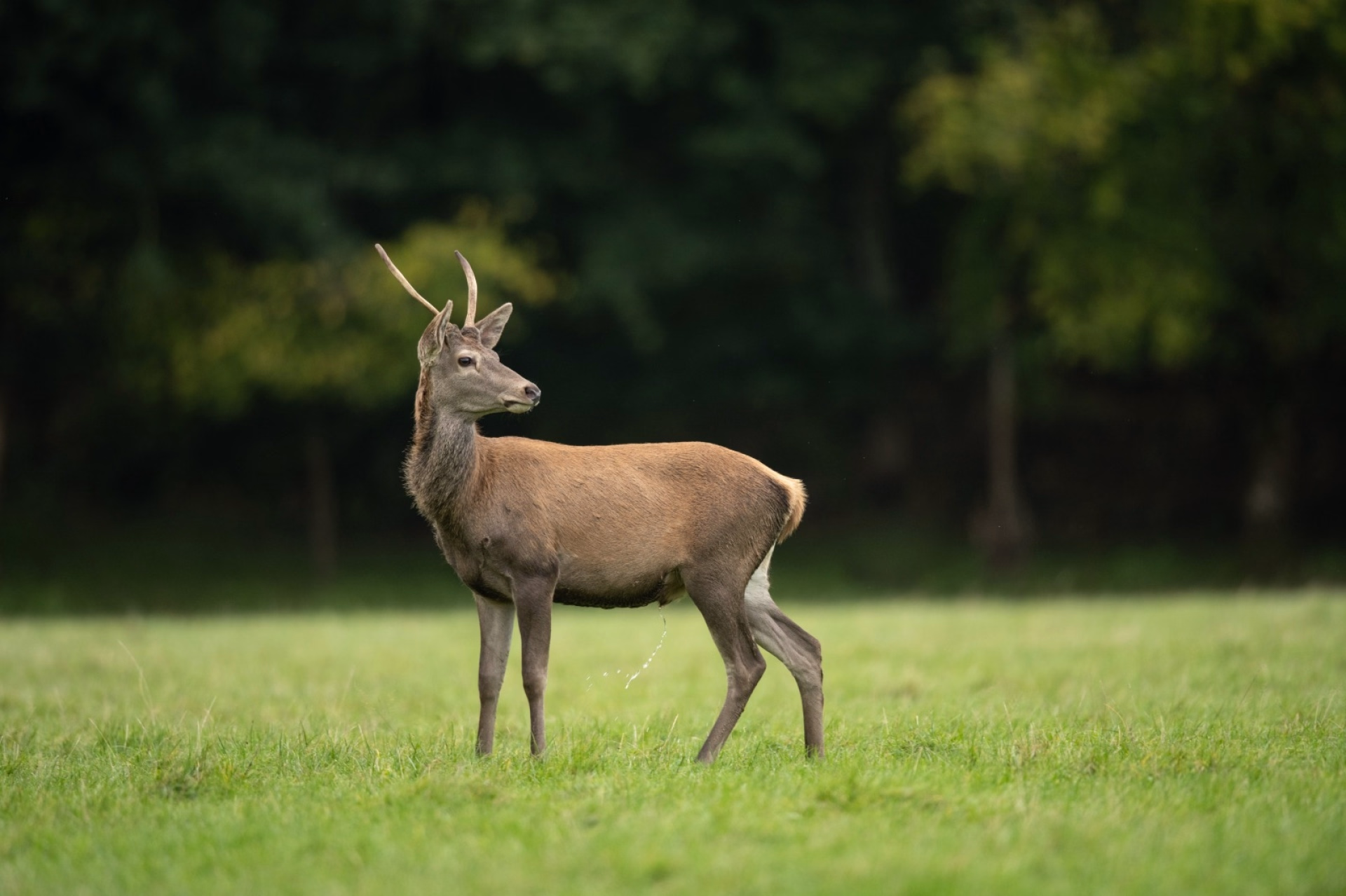 2 jours dans la nature du Parc Naturel des 2 Ourthes