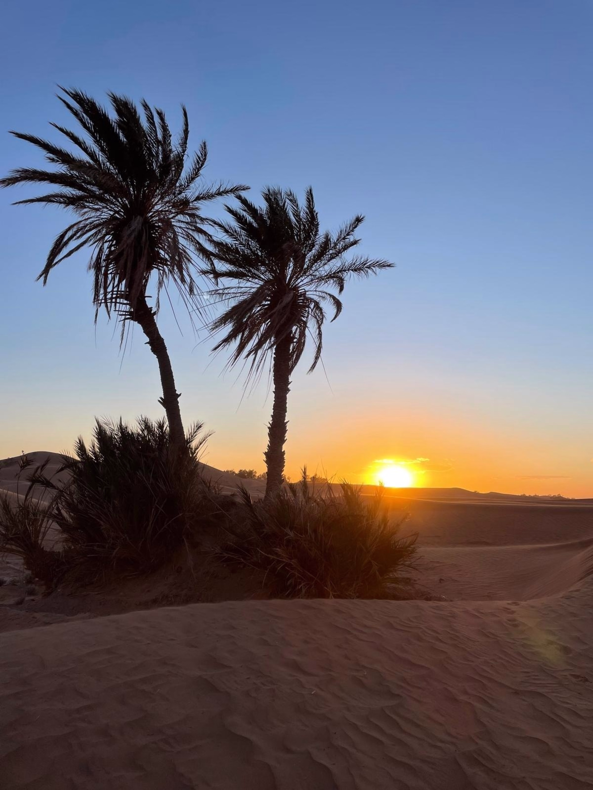 4 jours au cœur des dunes du Sahara marocain