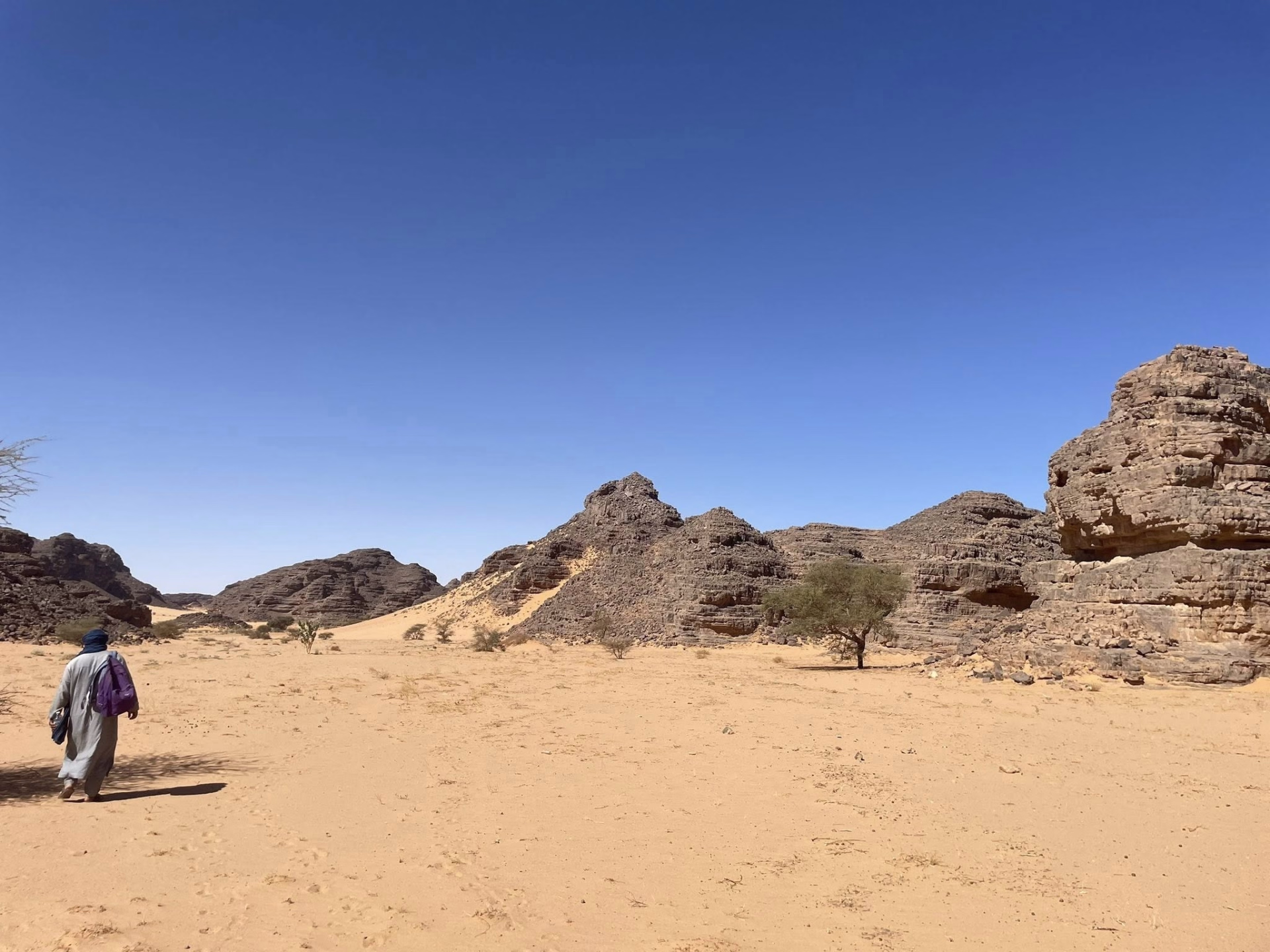 Randonnée et yoga au cœur des dunes du Sahara