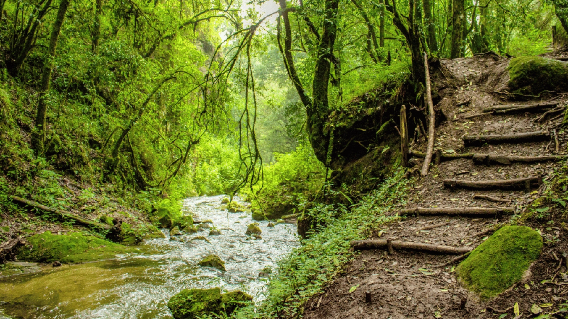 Jeûne, Yoga et Conscience de soi