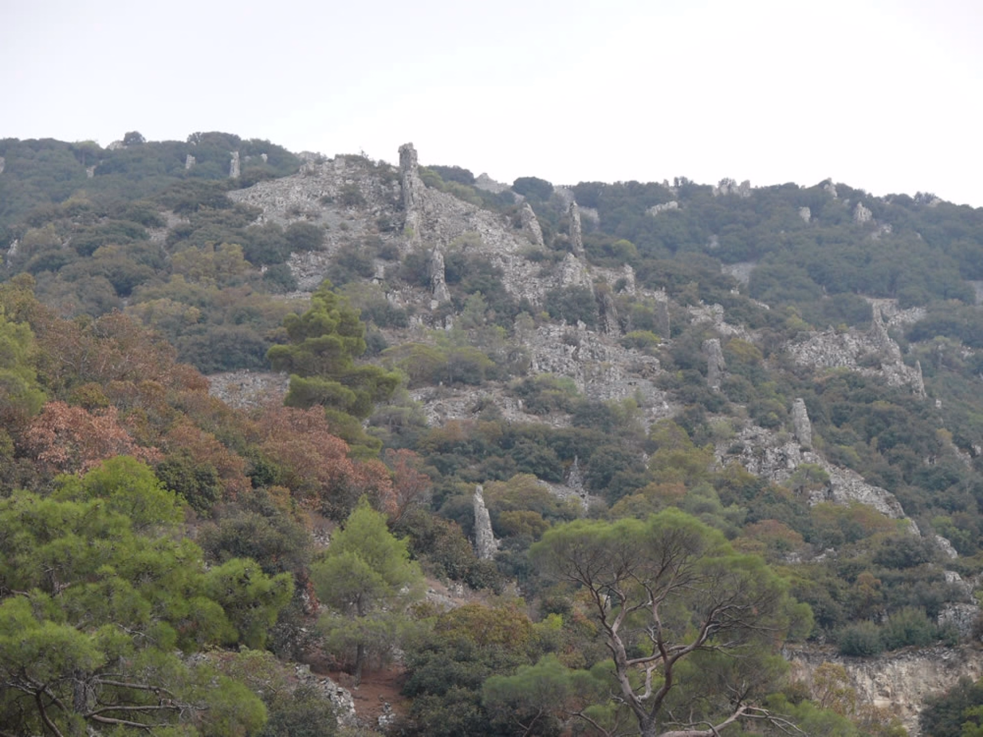 Mini-circuit autonome Troodos suprême