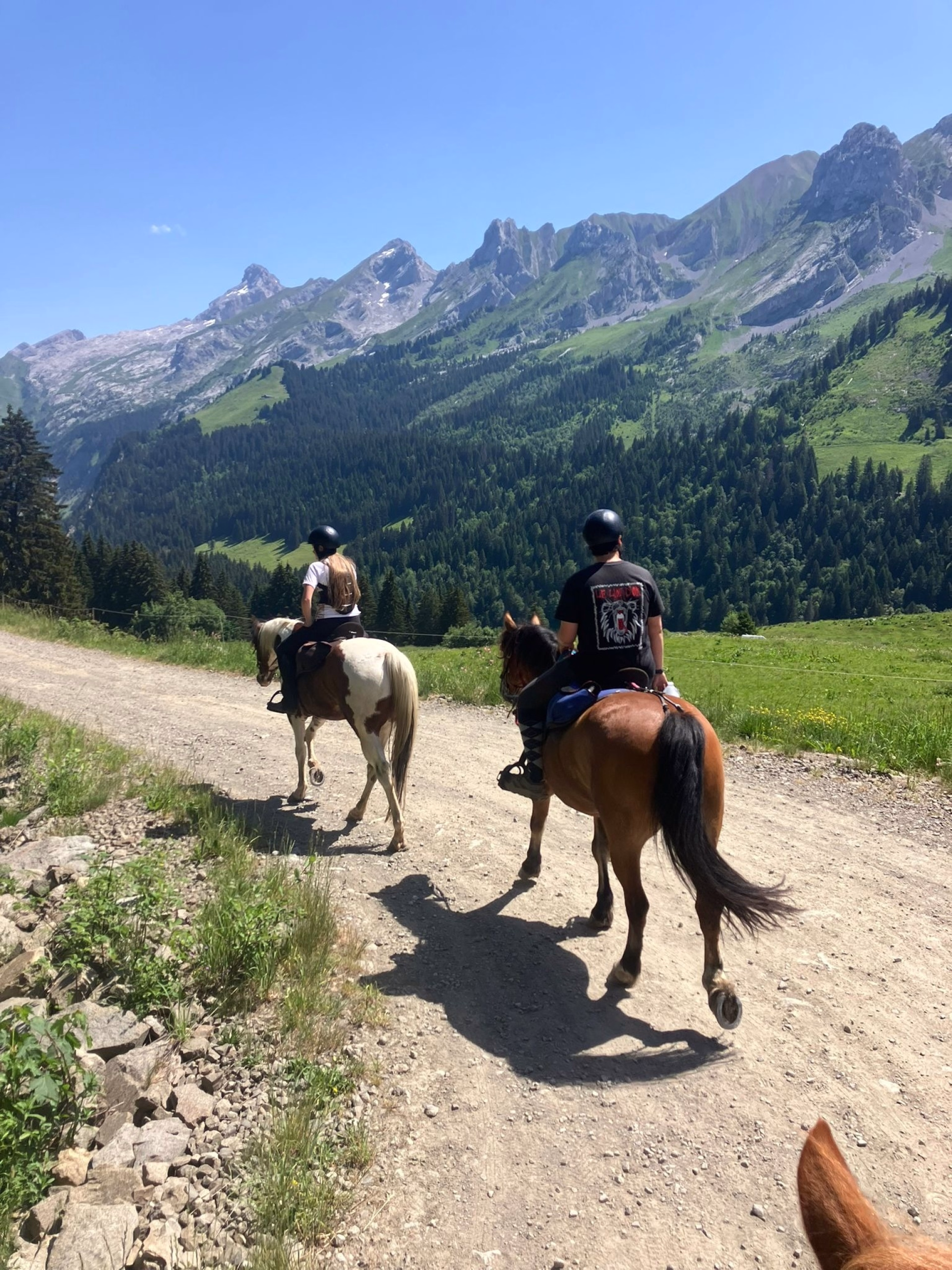 Séjour cheval et bien être dans les Aravis