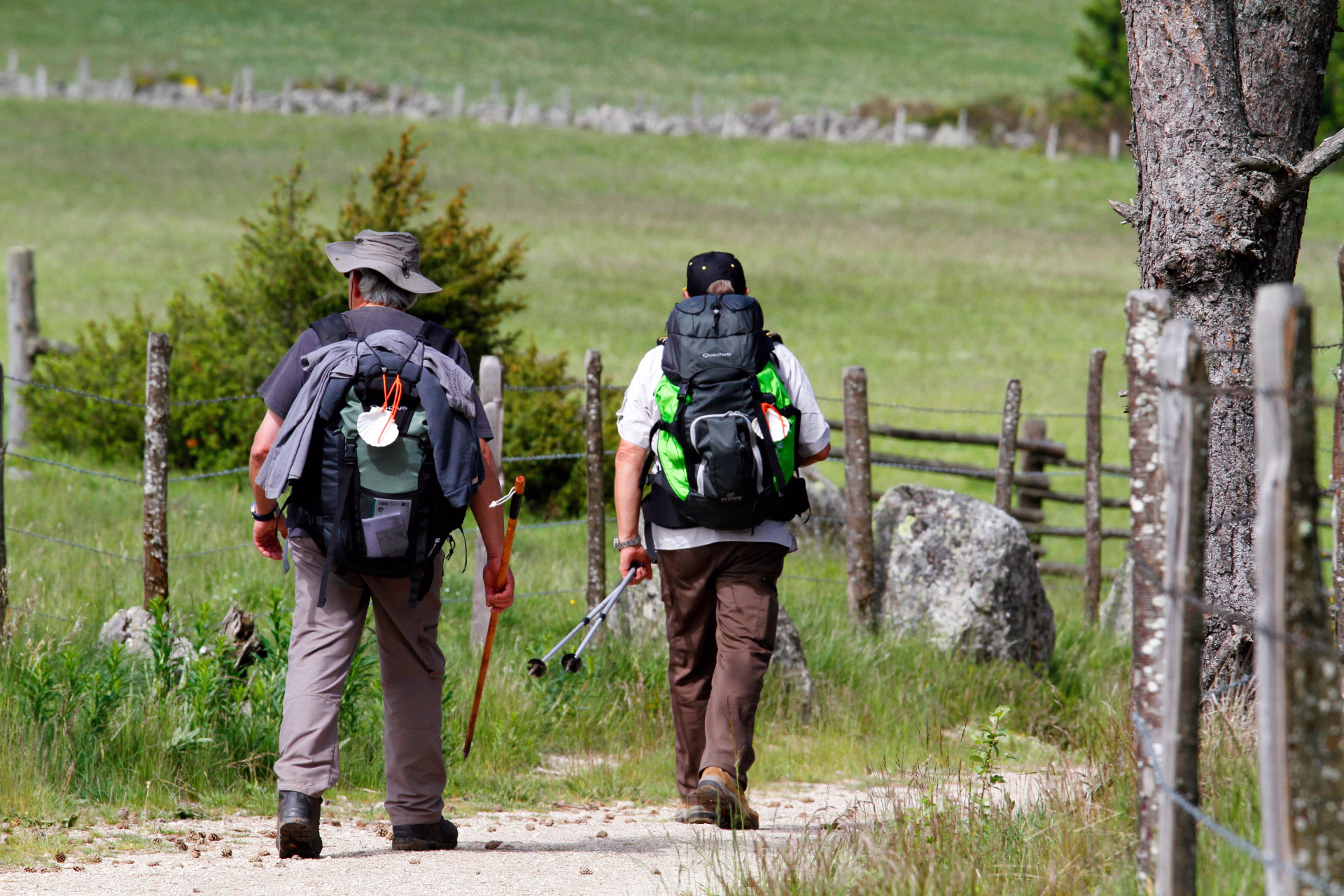 Compostelle en Aubrac - 4 jours de Aumont-Aubrac à St Côme d'Olt