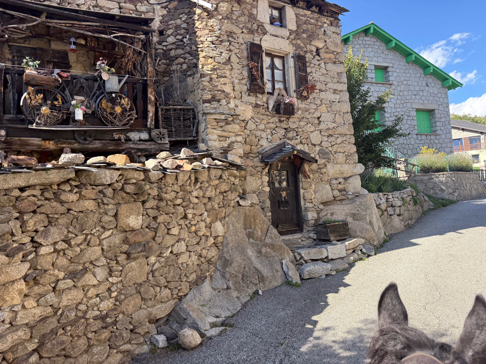 Brame du cerf en Pyrénées catalanes à cheval