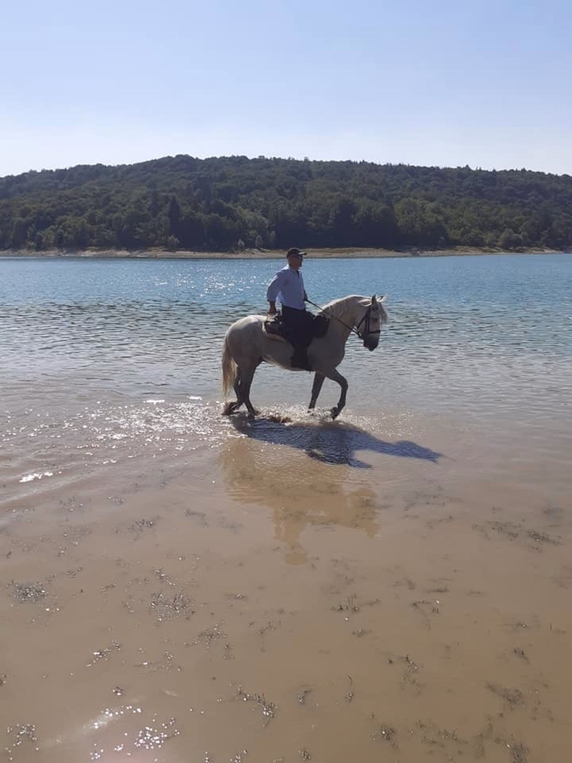 Week-end randonnée équestre au cœur du Haut-Jura