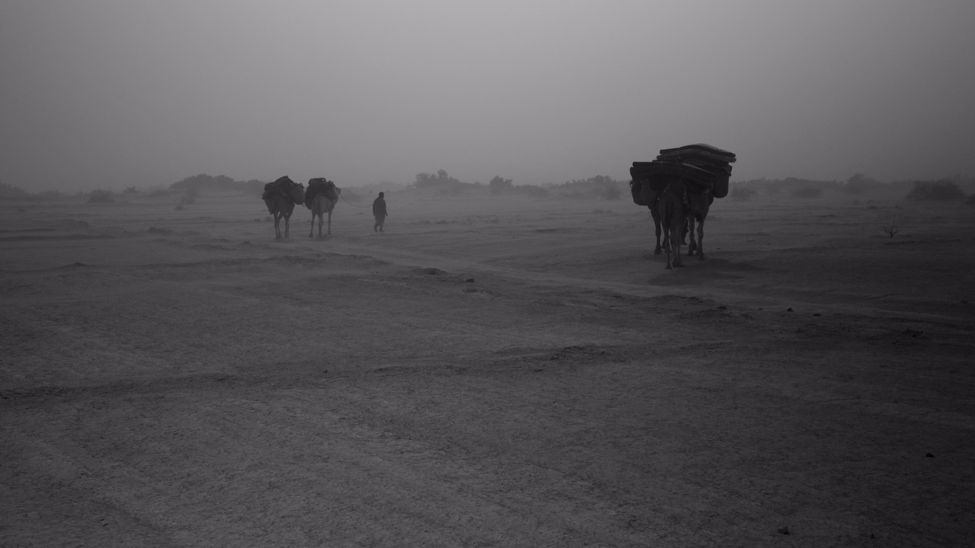 Séjour de 7 jours au départ de Marrakech : désert du Maroc et vallée