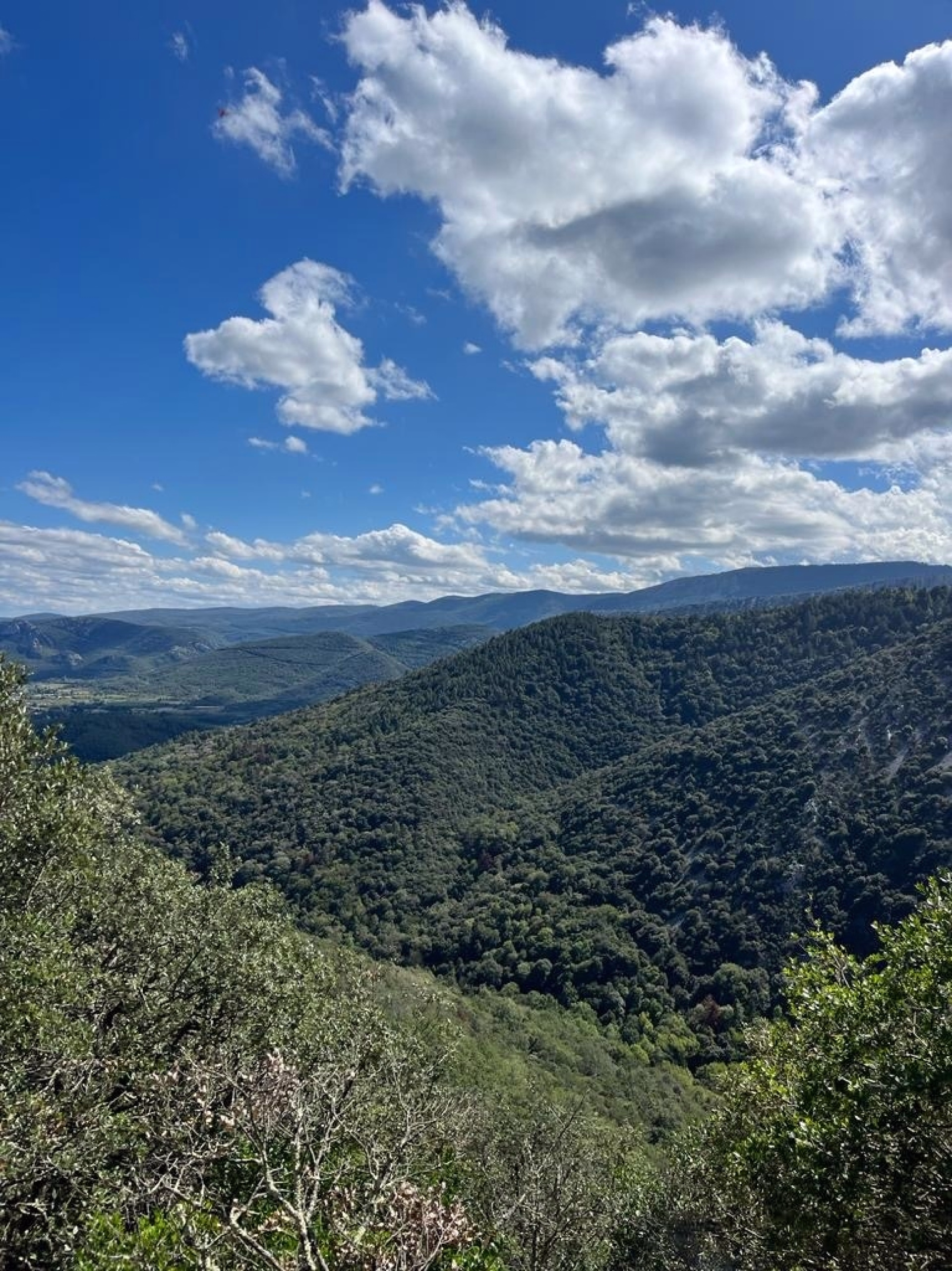 Rando équestre sur le Sentier Cathare pyrénéen