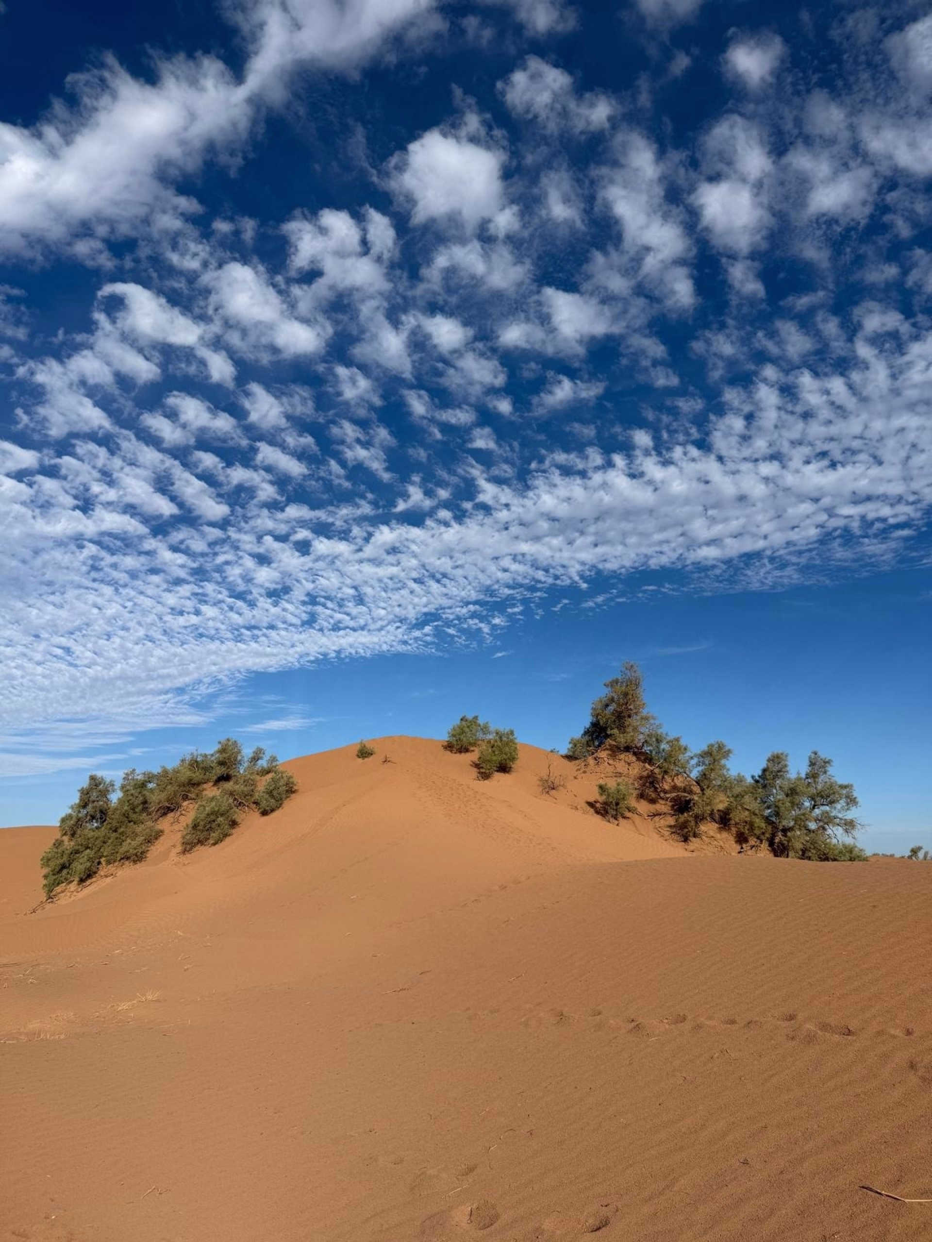 4 jours au cœur des dunes du Sahara marocain