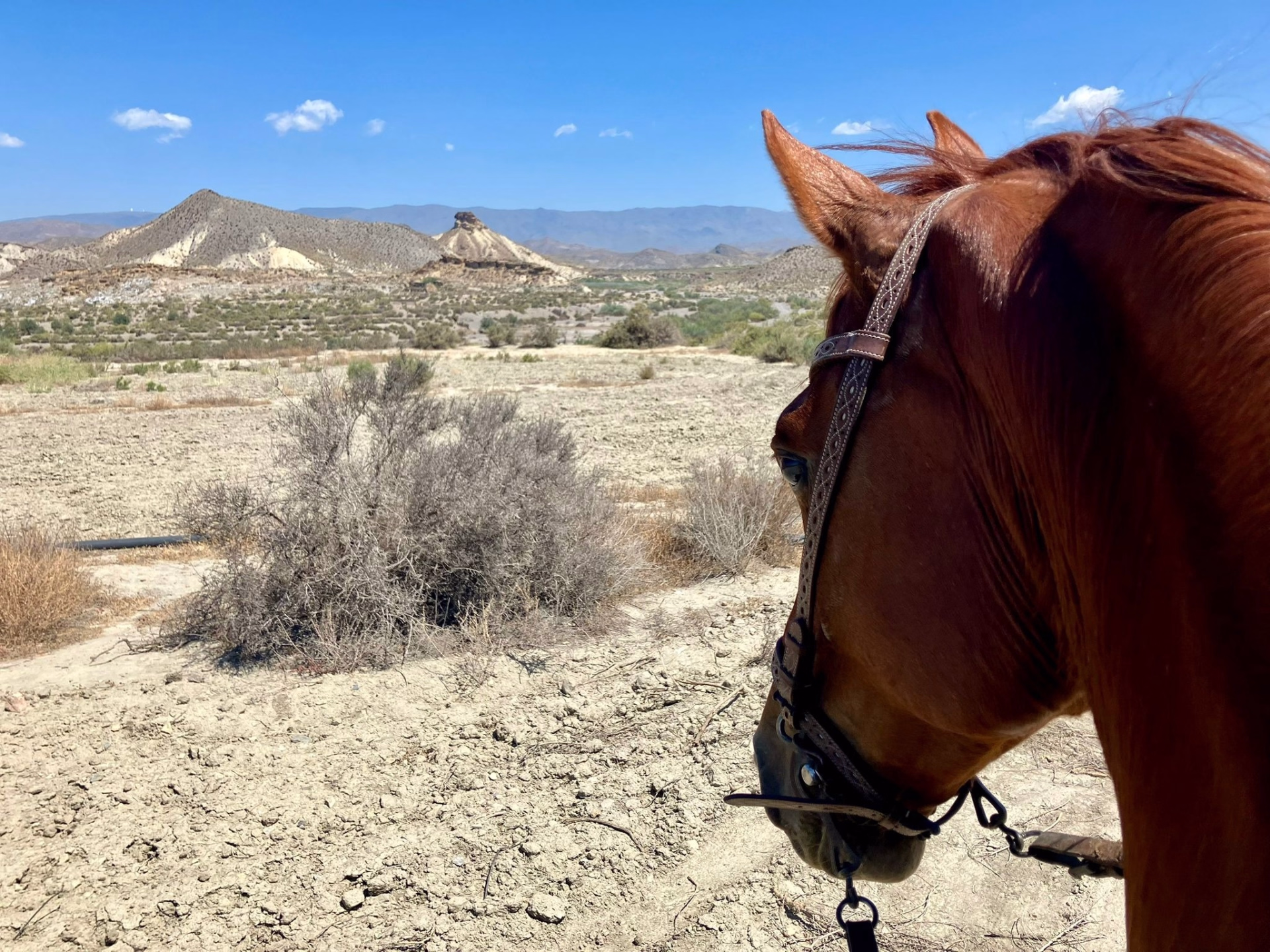 Aventure équestre dans le désert de Tabernas
