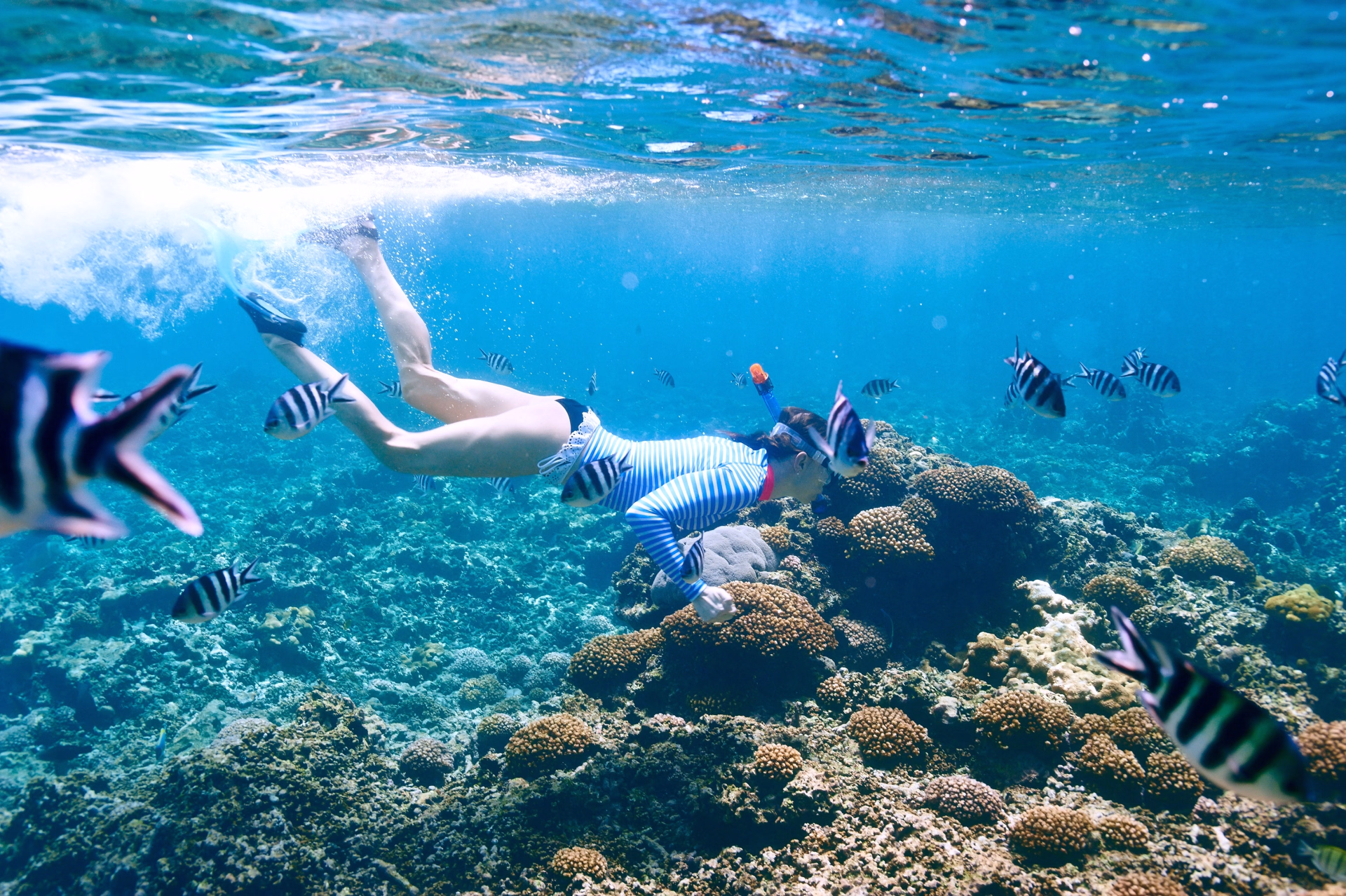 Safari snorkeling et circuit terrestre à Bali