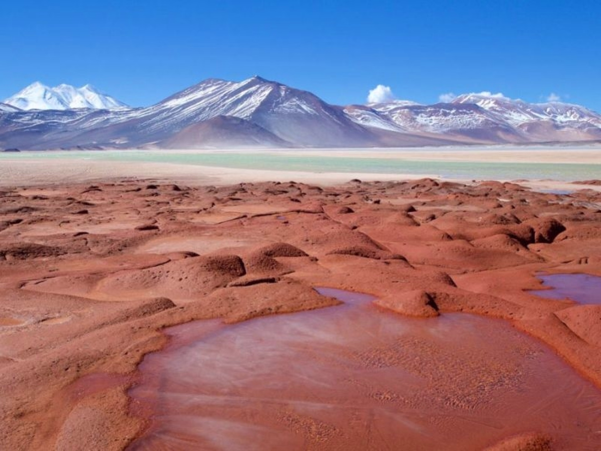 Trek d’altitude entre Chili et Bolivie, volcans et salars