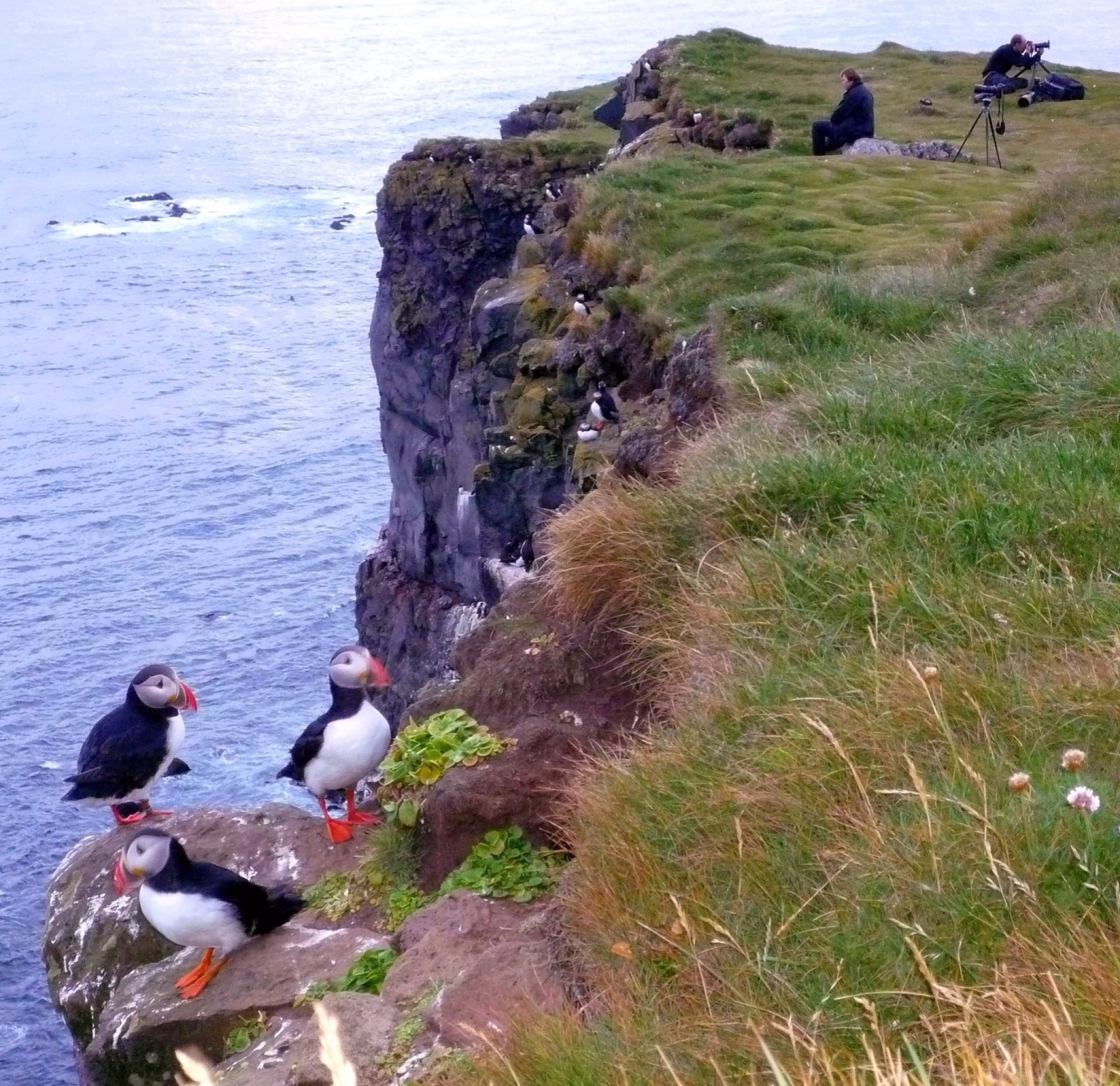 Kayak et road trip au cœur des volcans d’Islande