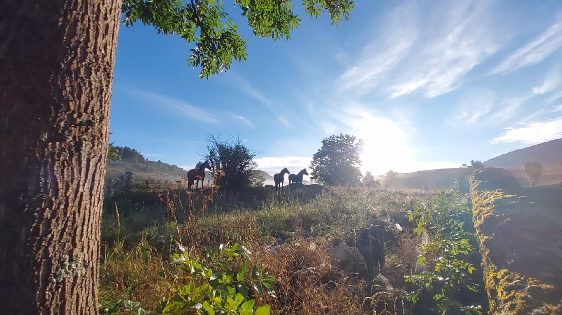 Itinérance à cheval vers Montségur dans les Pyrénées ariégeoises