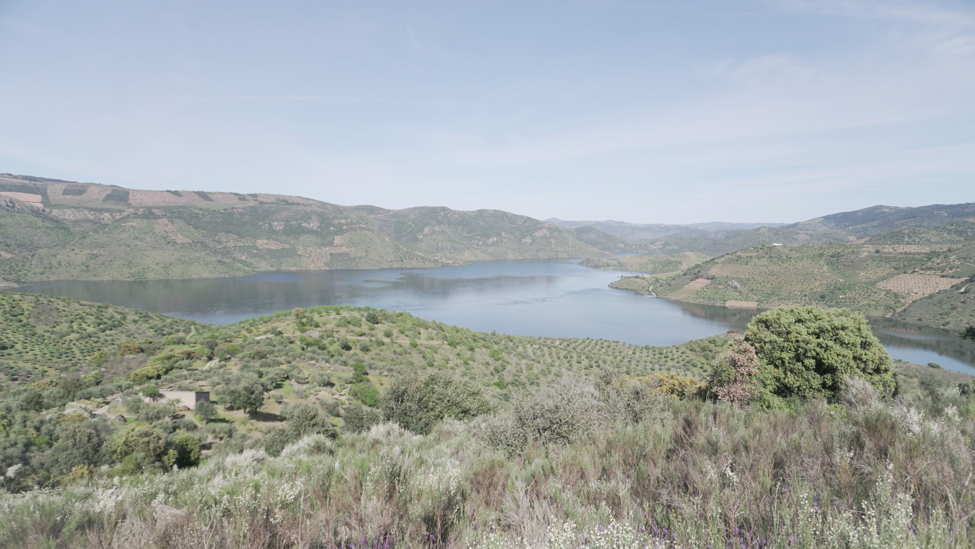 Séjour pêche aux carnassiers sur le Douro et lac Sabord au Portugal