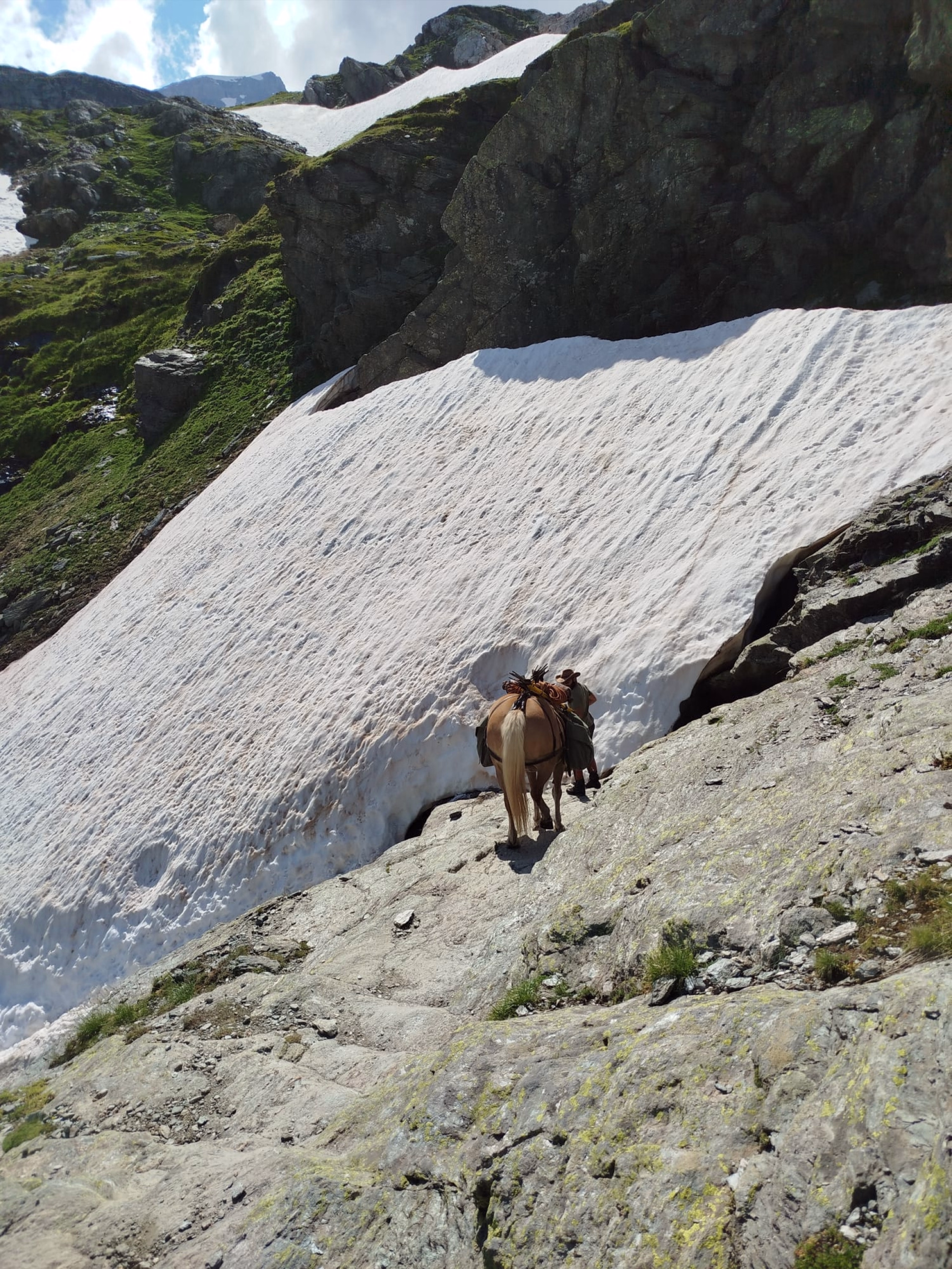 Randonnée équestre en Vanoise et nuits en refuge
