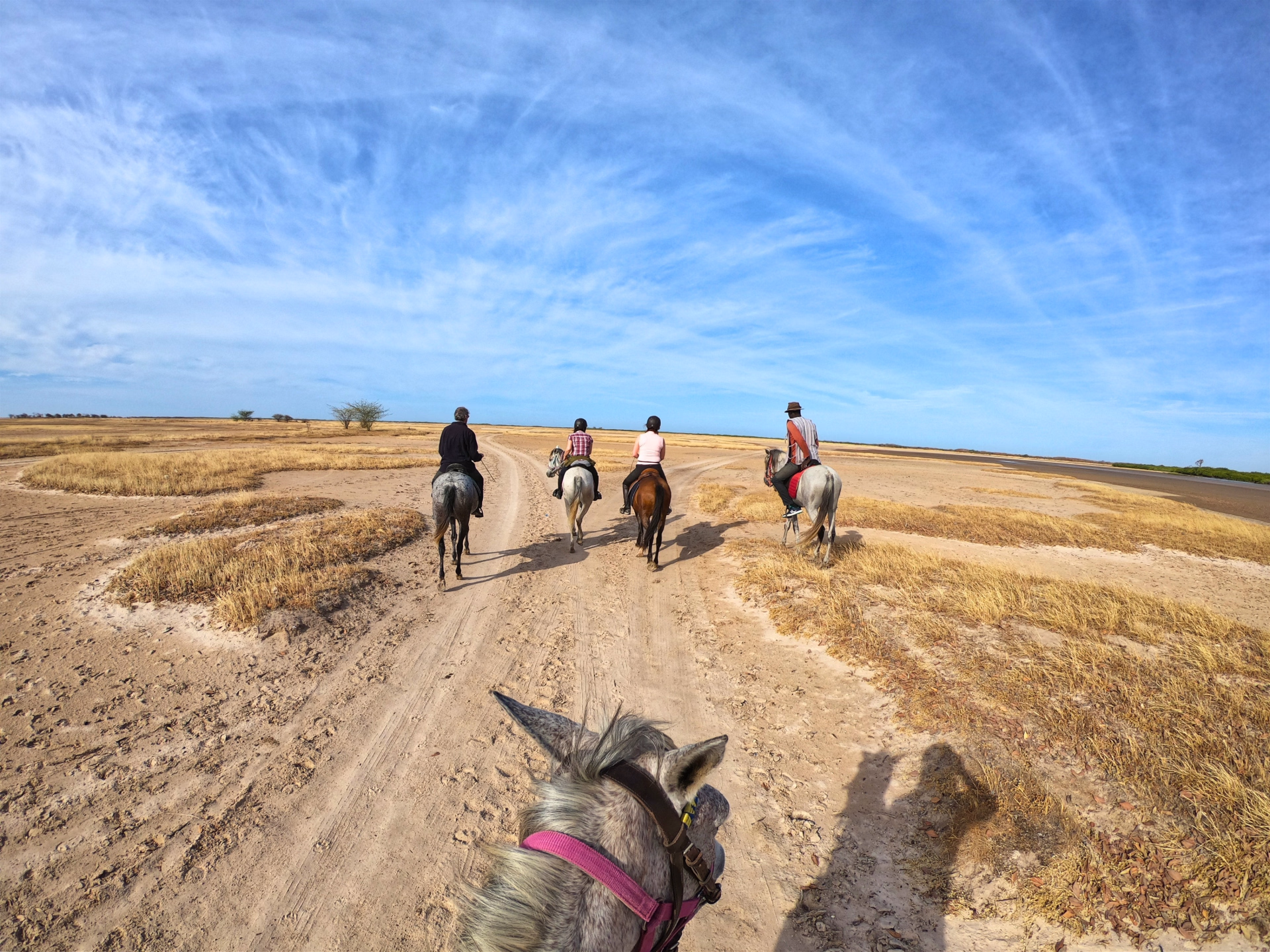 Safari à cheval dans le Sine Saloum au Sénégal