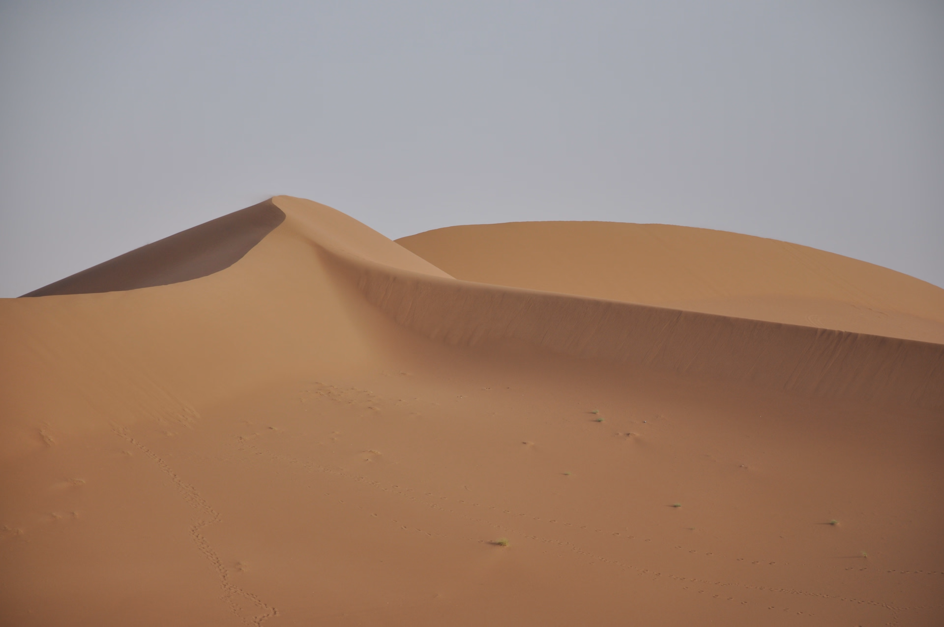 Aventure en famille au Maroc : désert en dromadaire et 4x4