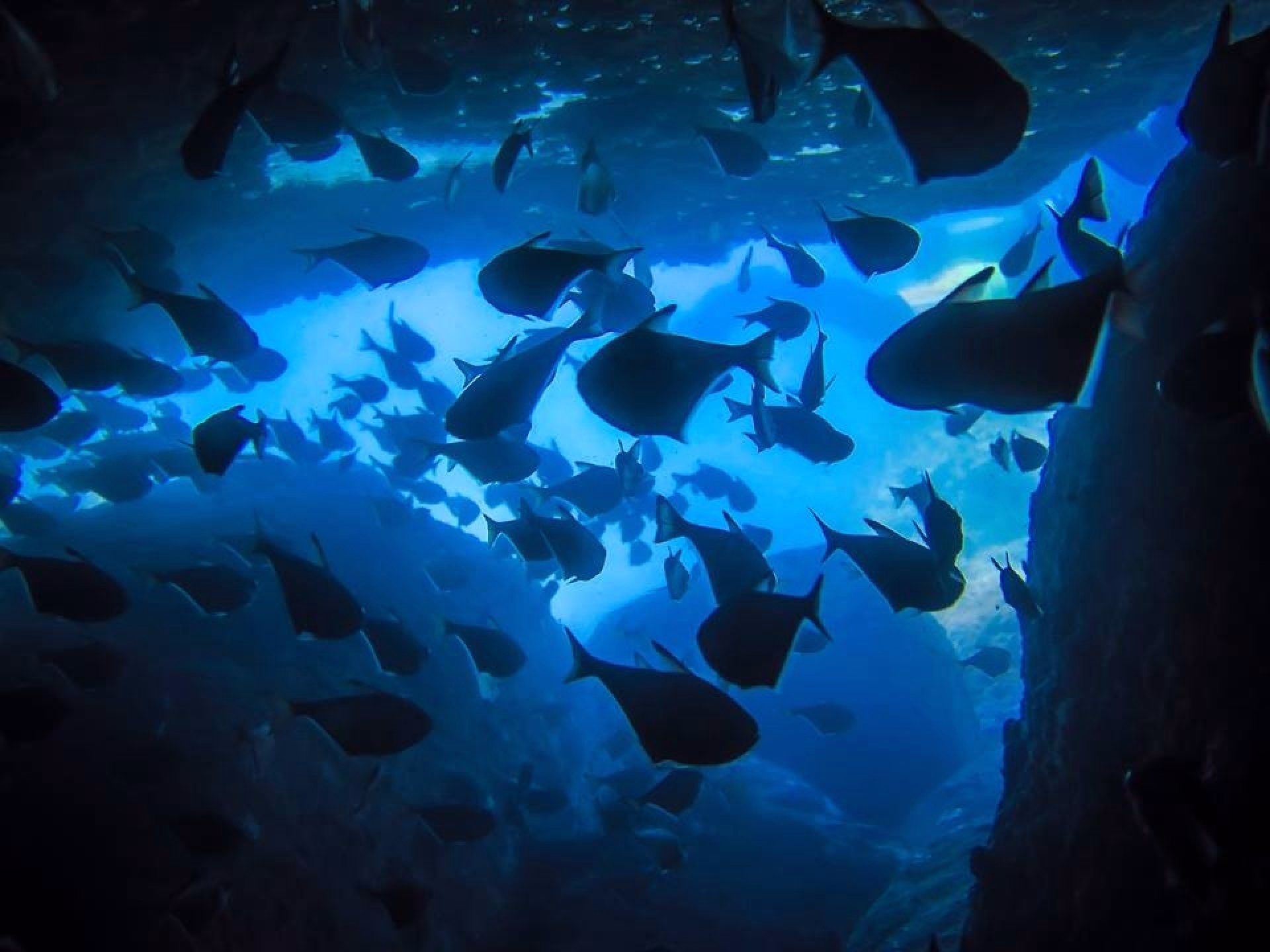 Circuit et plongée au Vietnam Sud de Ho Chi Minh à Nha Trang