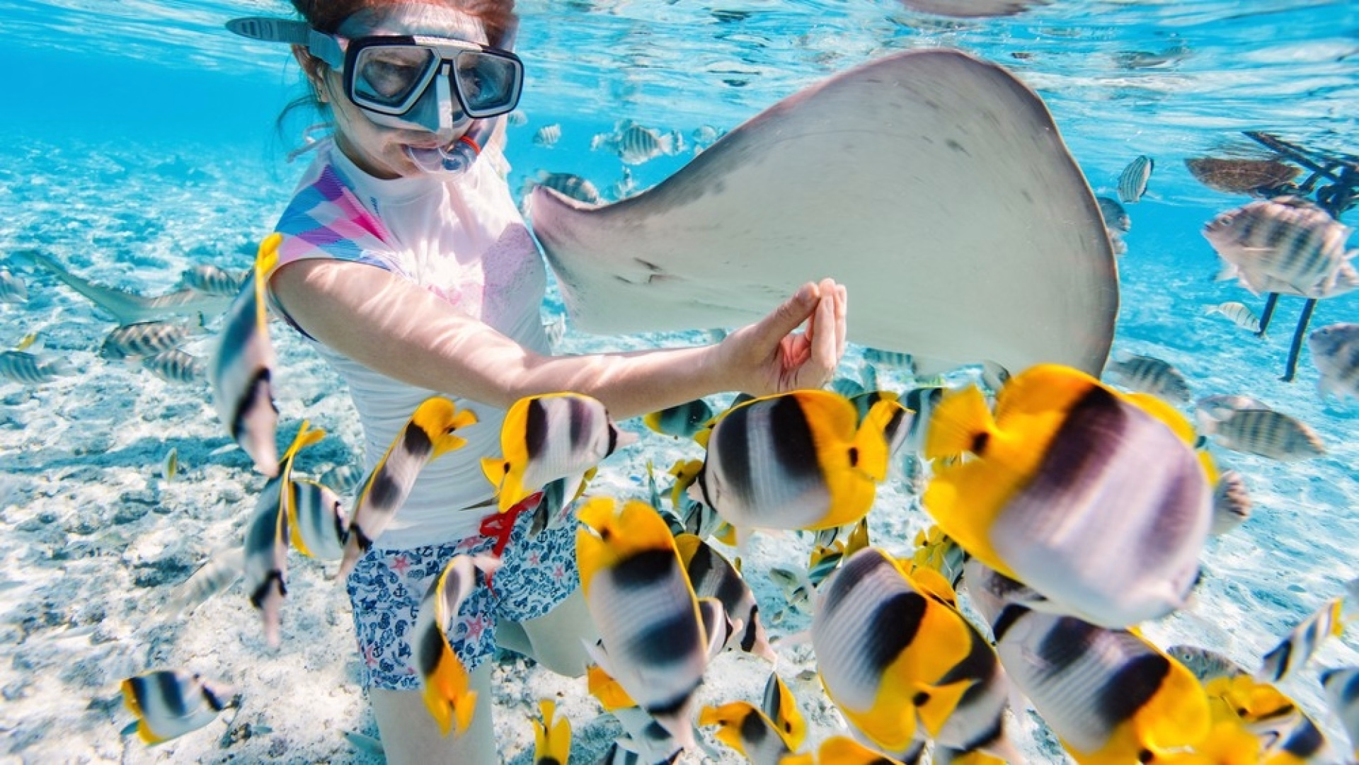 Snorkeling - Découvrez le monde sous marin de Ras Mohammed en palmes