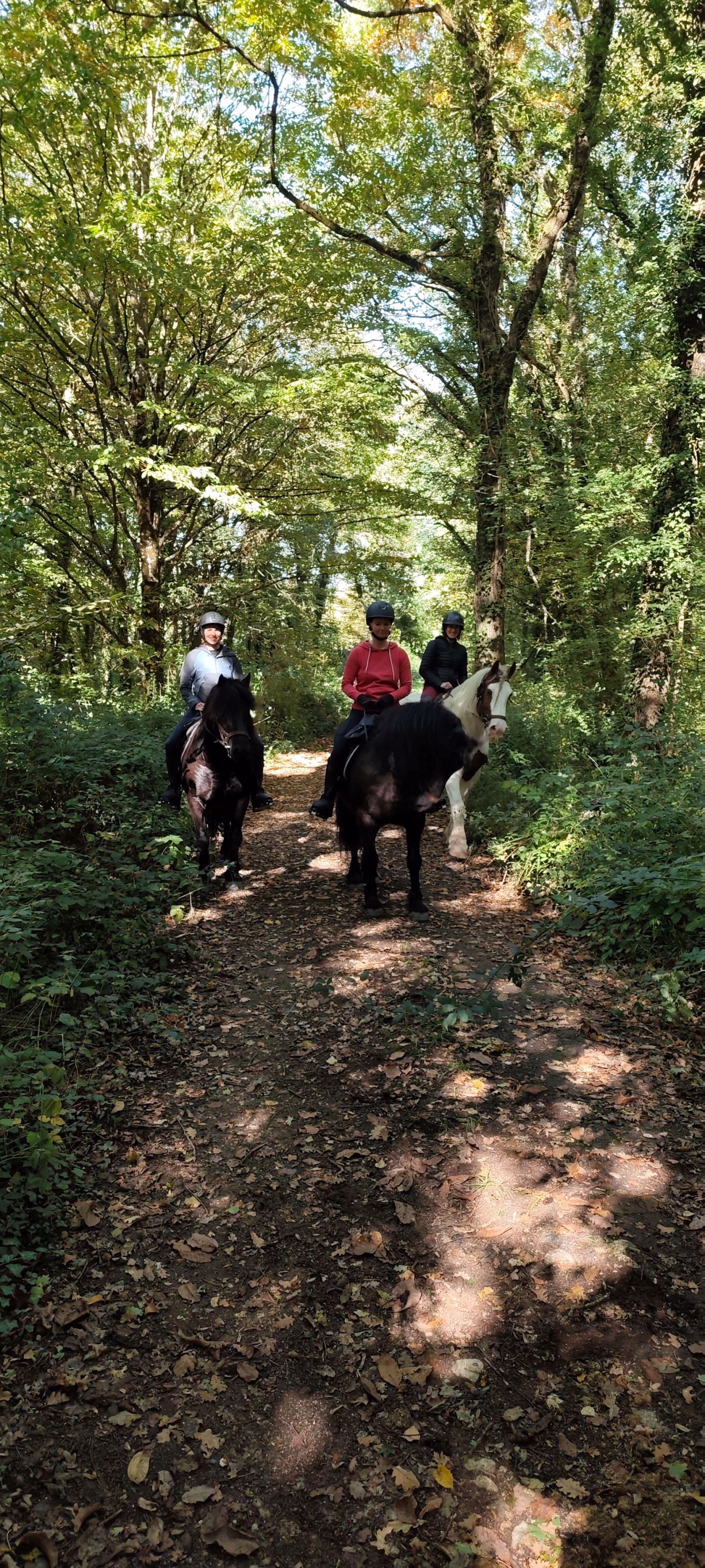 Week-end en Touraine à cheval entre châteaux et vignes