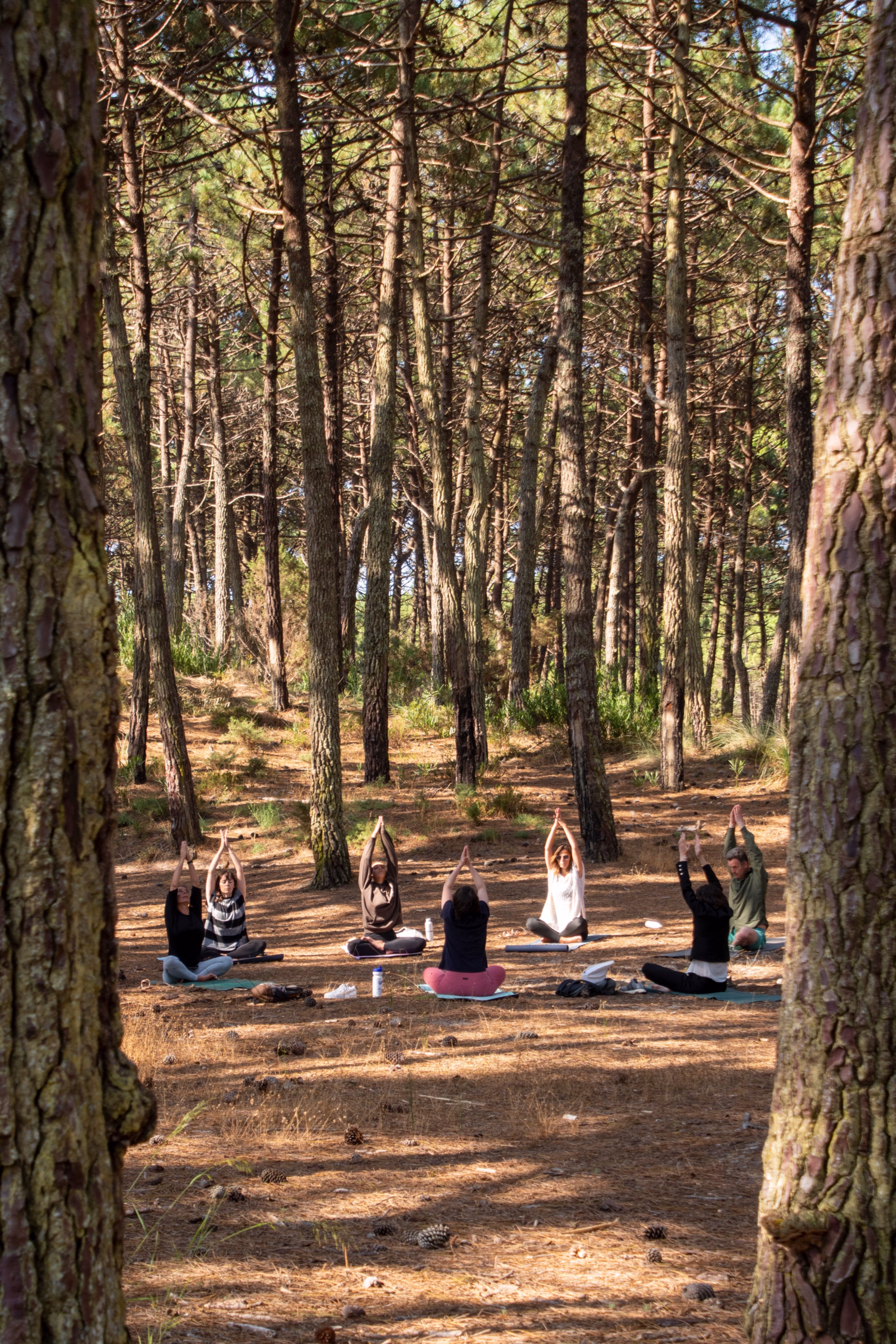 Formule Surf & Yoga à Peniche