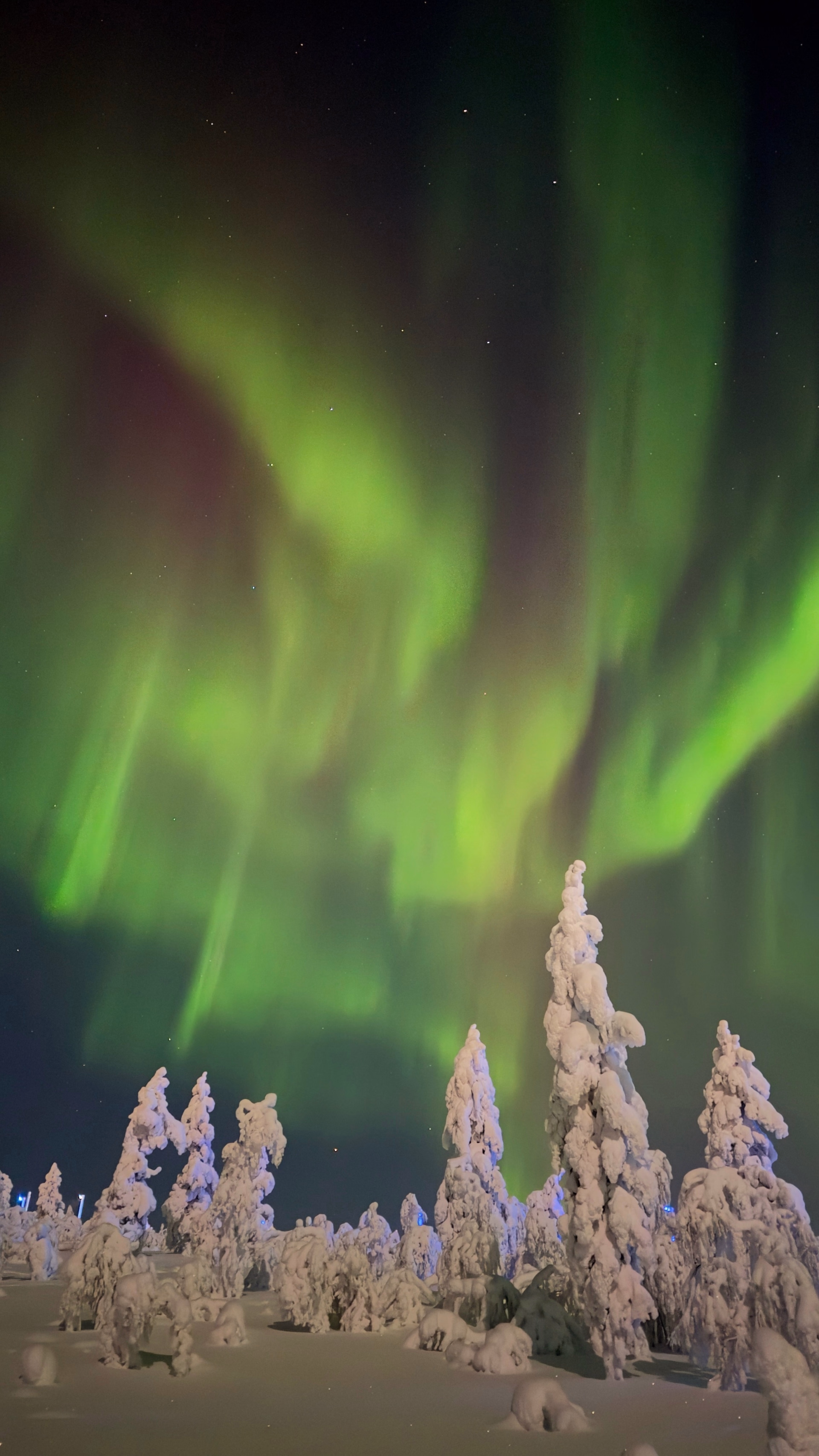 Escapade Arctique en Laponie finlandaise