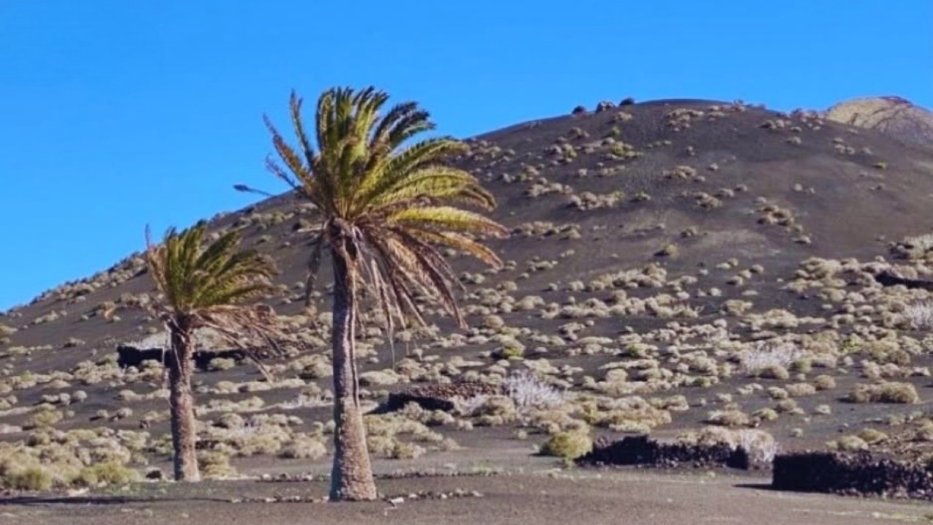 Stage de Triathlon à Lanzarote