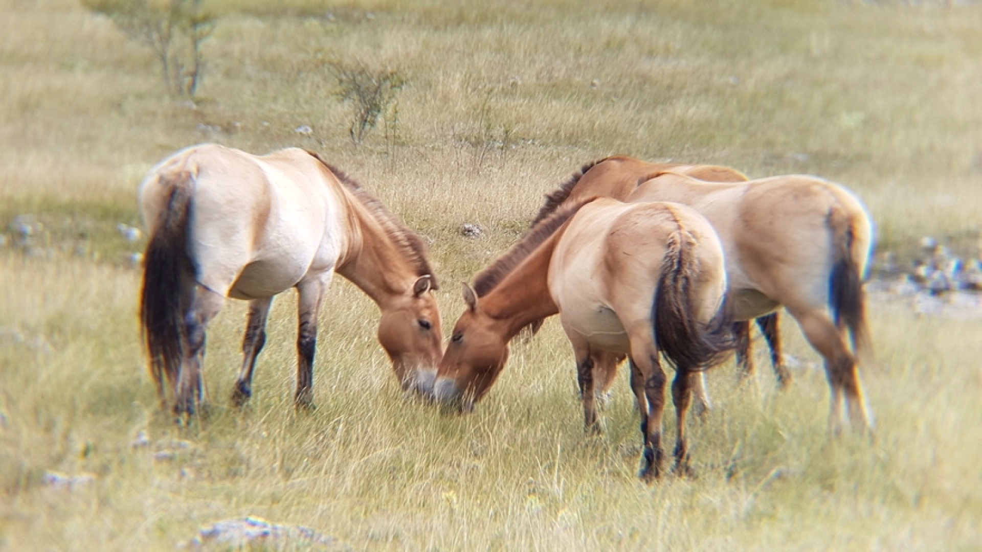 Séjour famille multi-activités dans les Cévennes