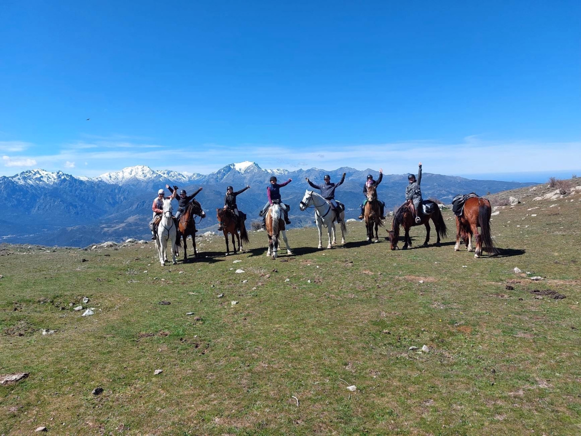 Randonnée équestre entre mer et montagne en Corse