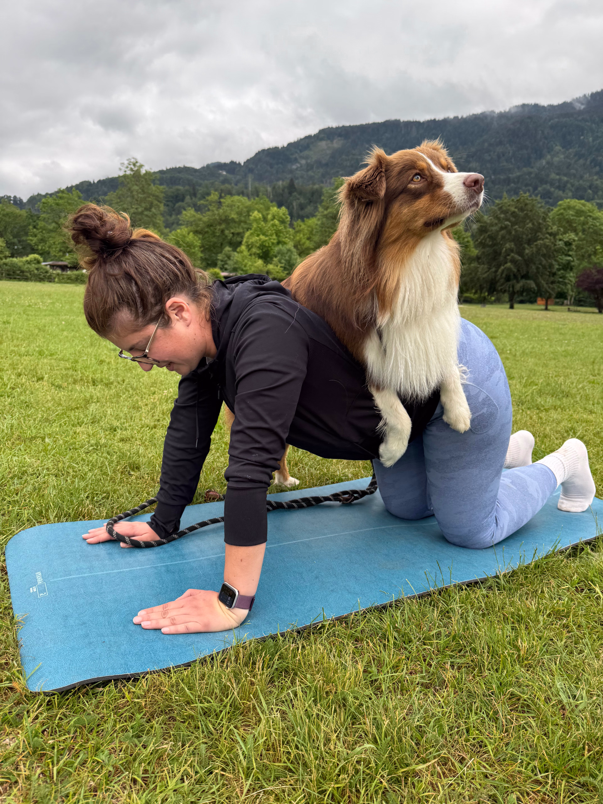 Séjour randonnée et doga en Haute-Savoie avec votre chien