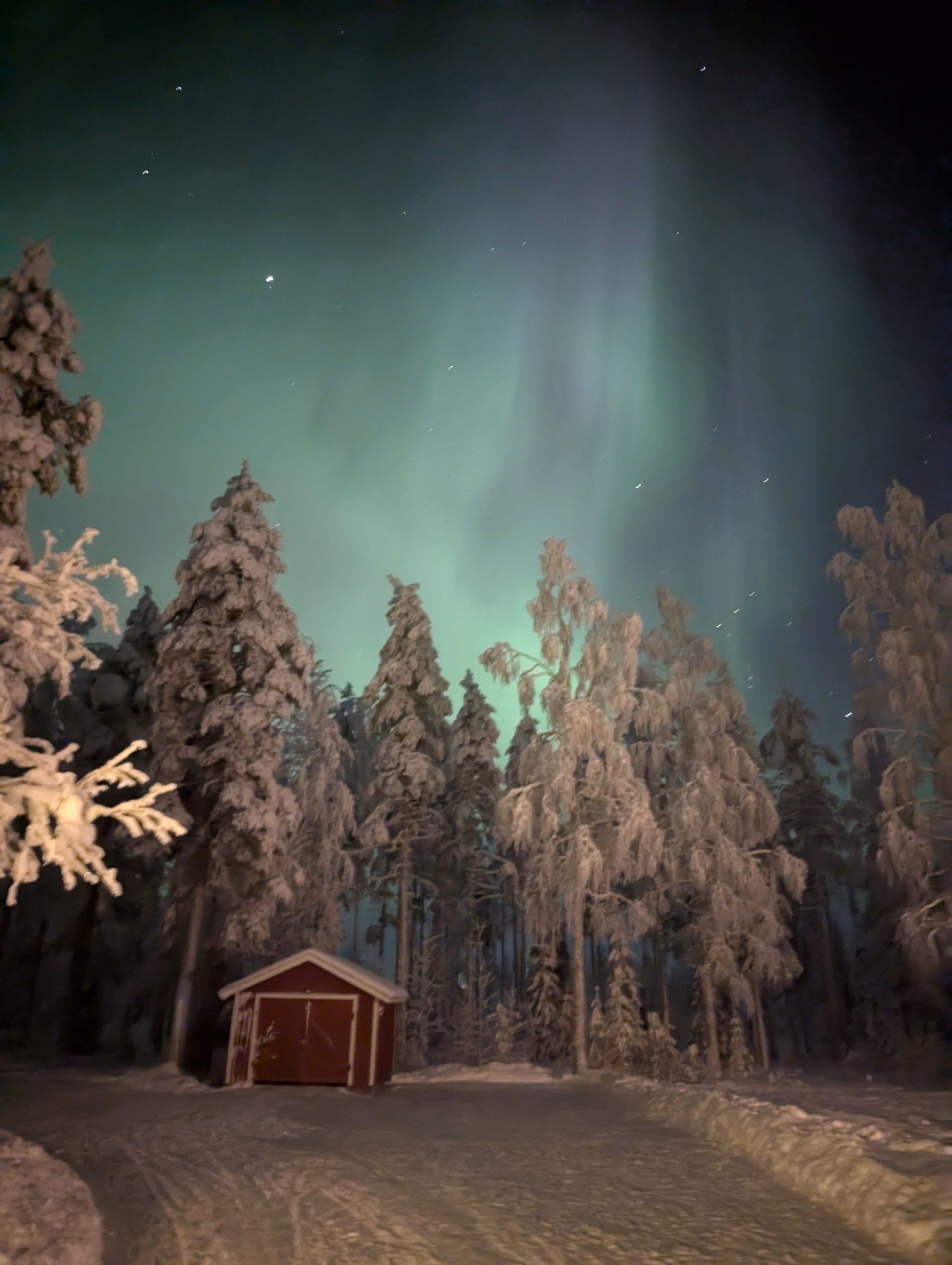 Parenthèse boréale : une immersion douce au cœur de la Laponie