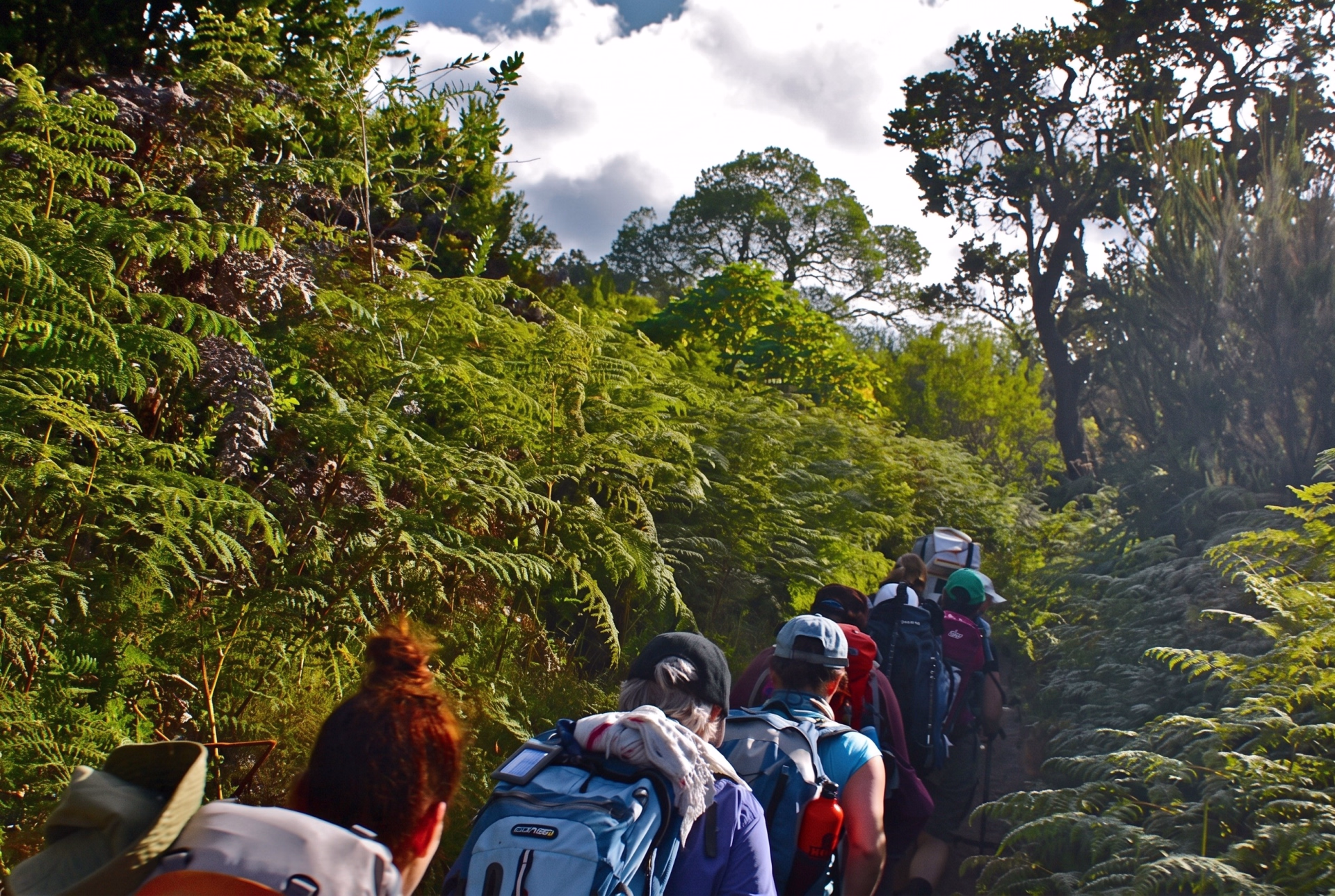 Le Kilimandjaro via la route Rongai sur 7 jours